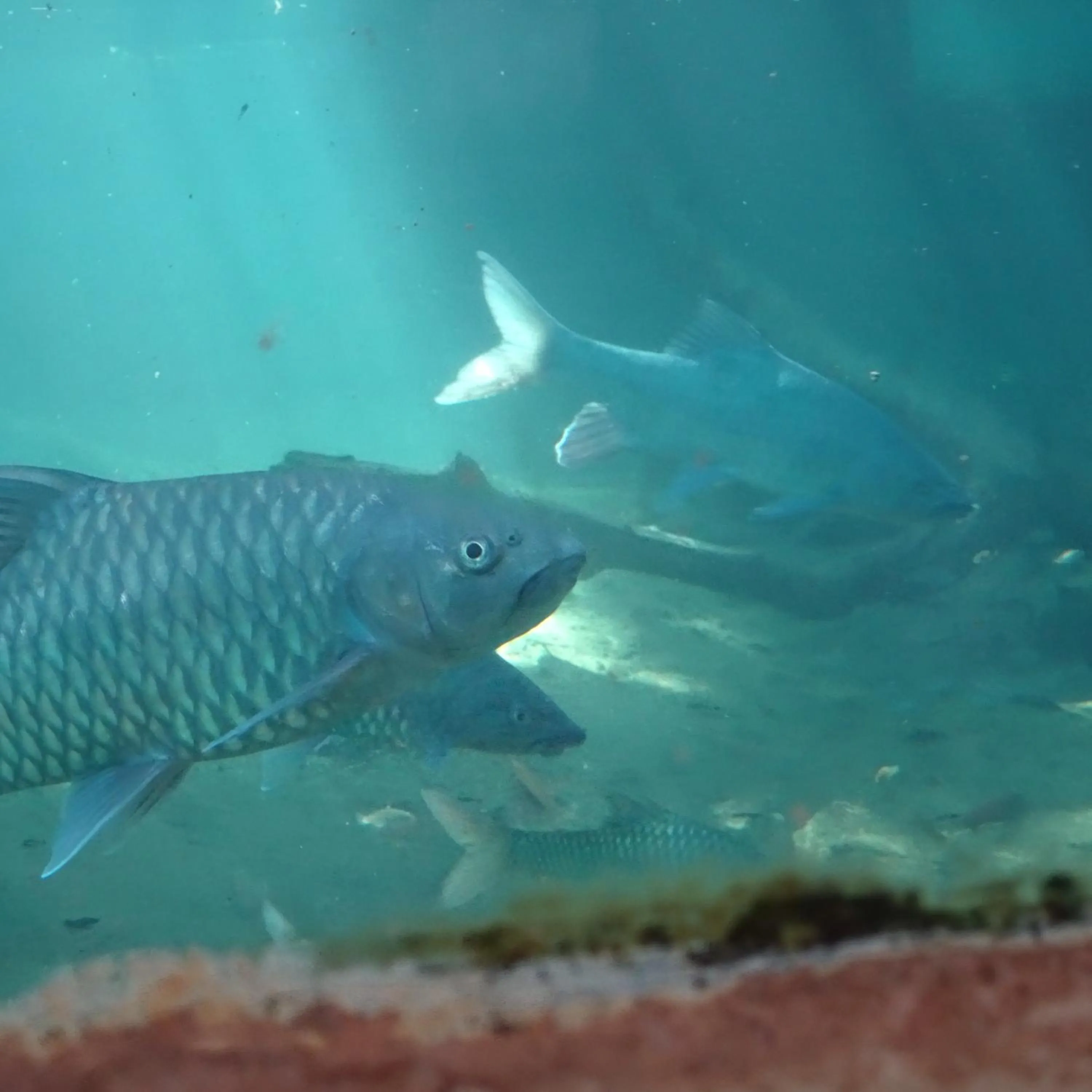 Activities in Tausa Tsavo Eco Lodge