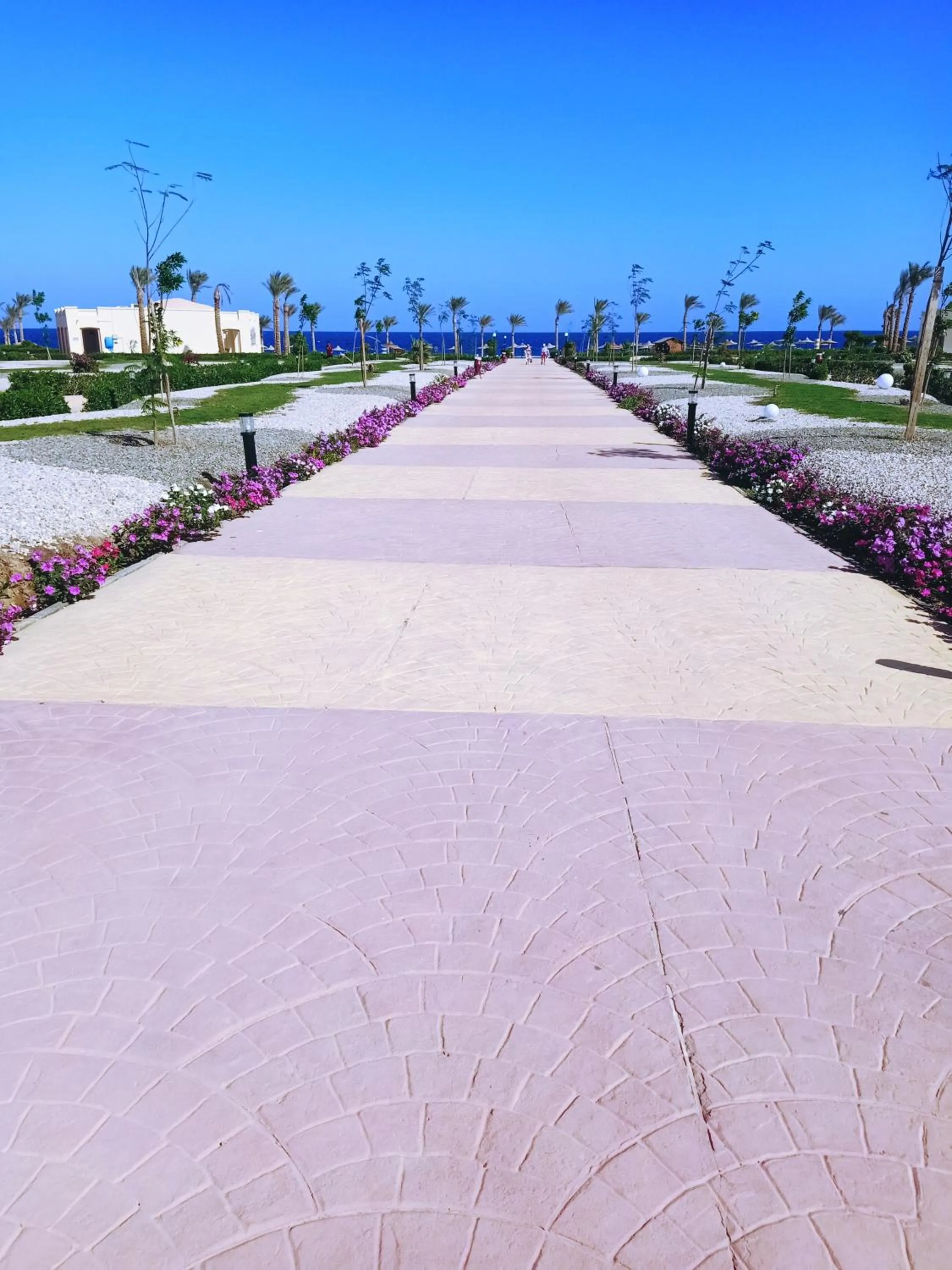 Seating area in Amarina Queen Resort & Aqua Park Marsa Alam