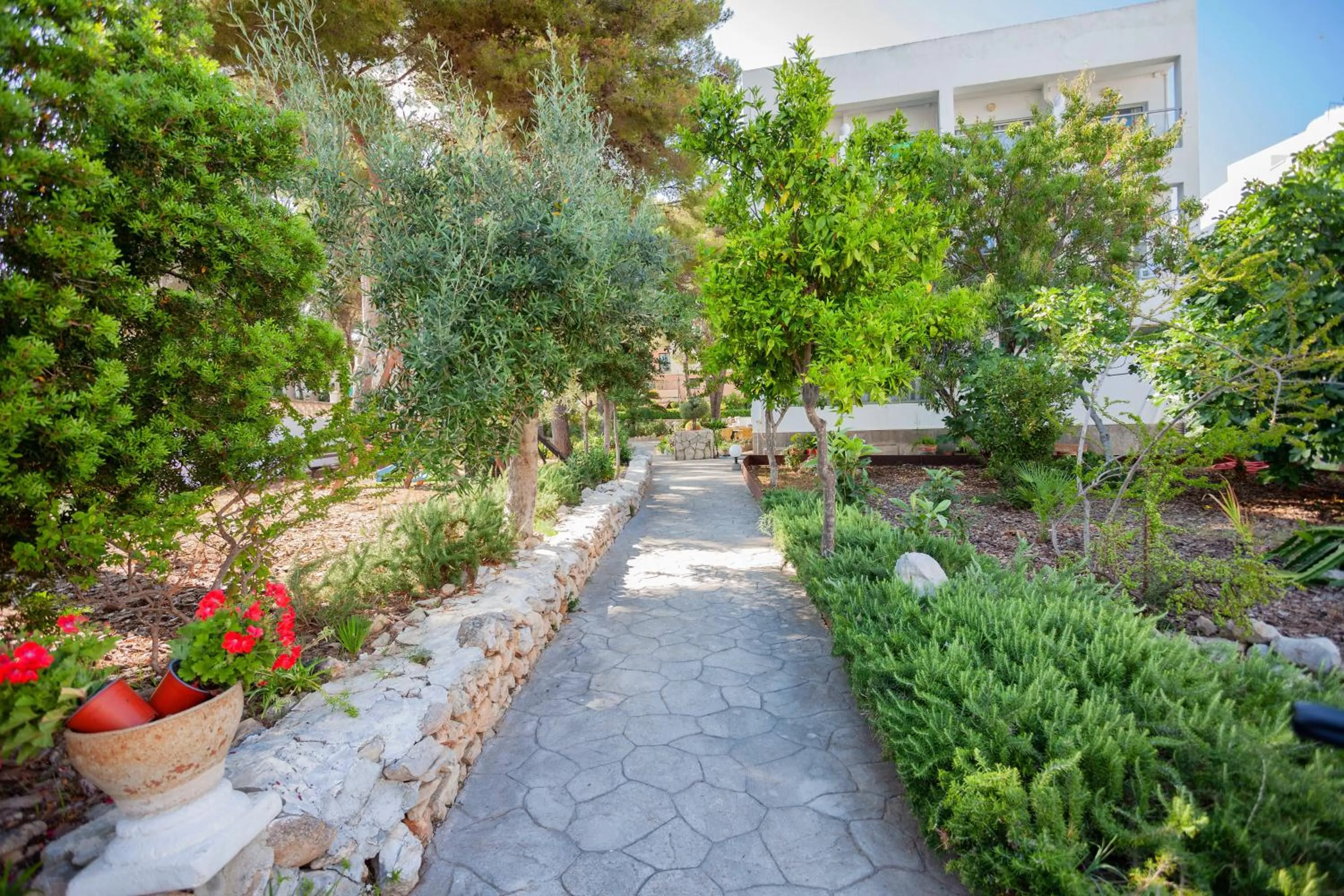 Garden in Petit Garden Hotel by Flacalco