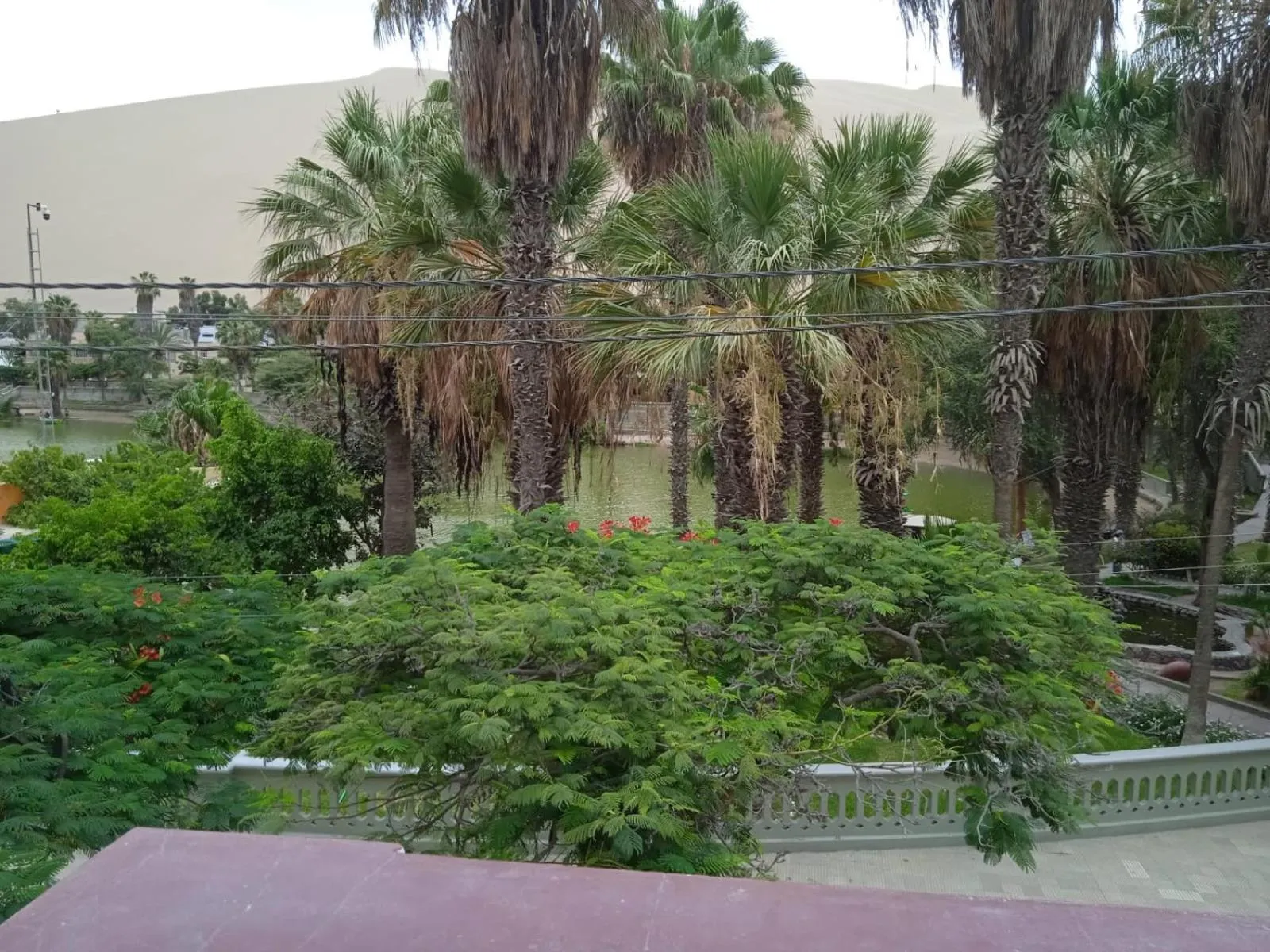 Landmark view in Hostal Huacachina Sunset