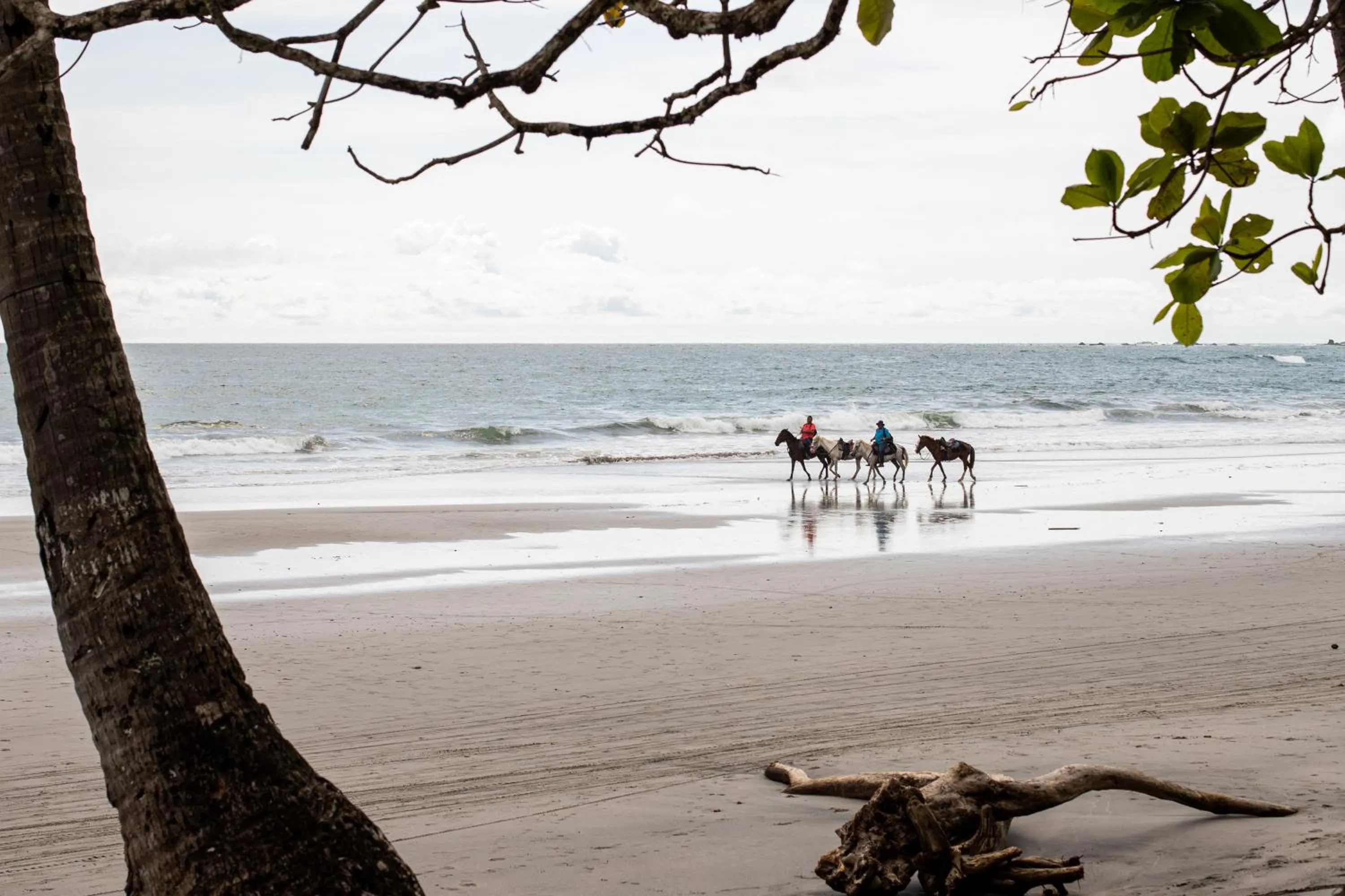 Beach in El Faro Containers Beach Hotel