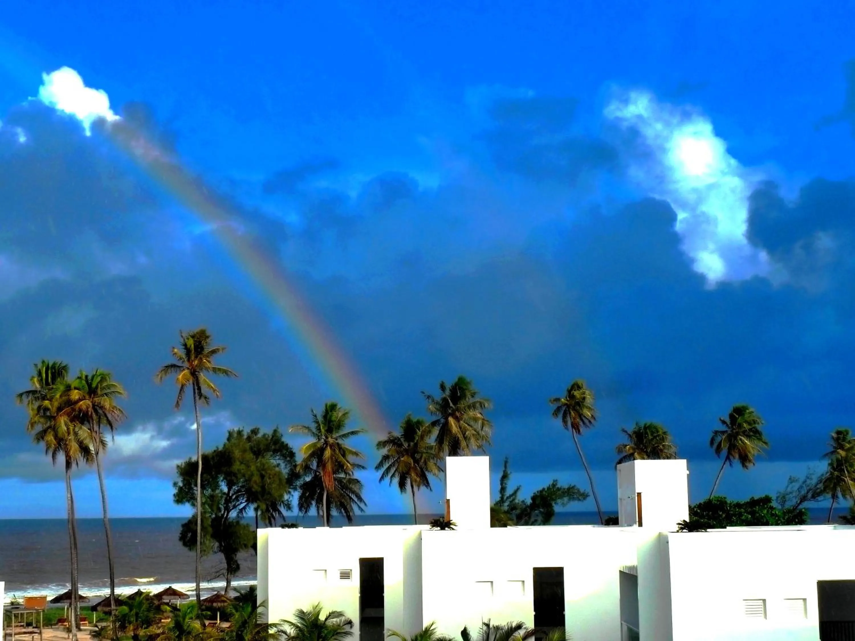 Garden view in B Blue Beachouses
