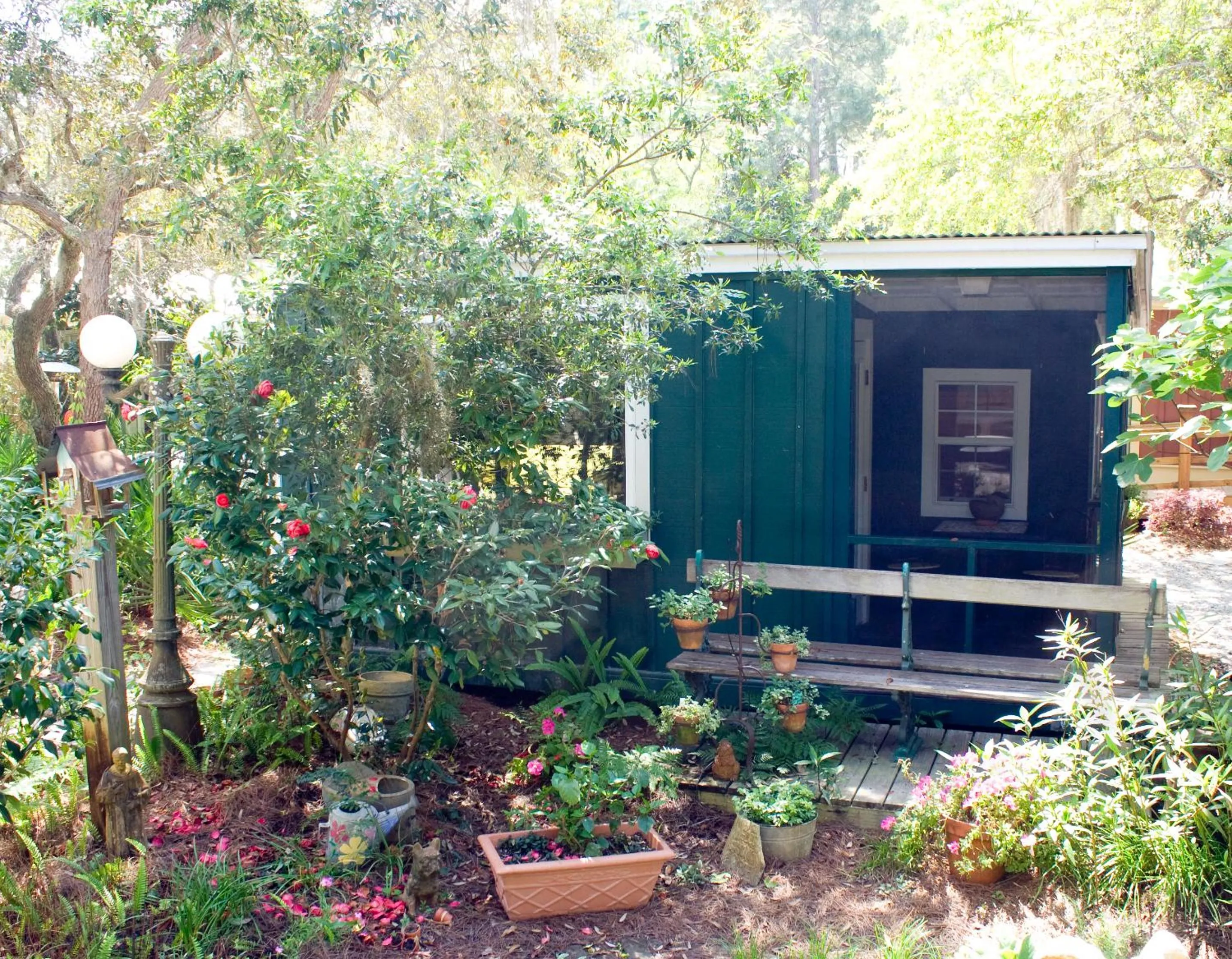 Garden in Hibiscus Coffee & Guesthouse