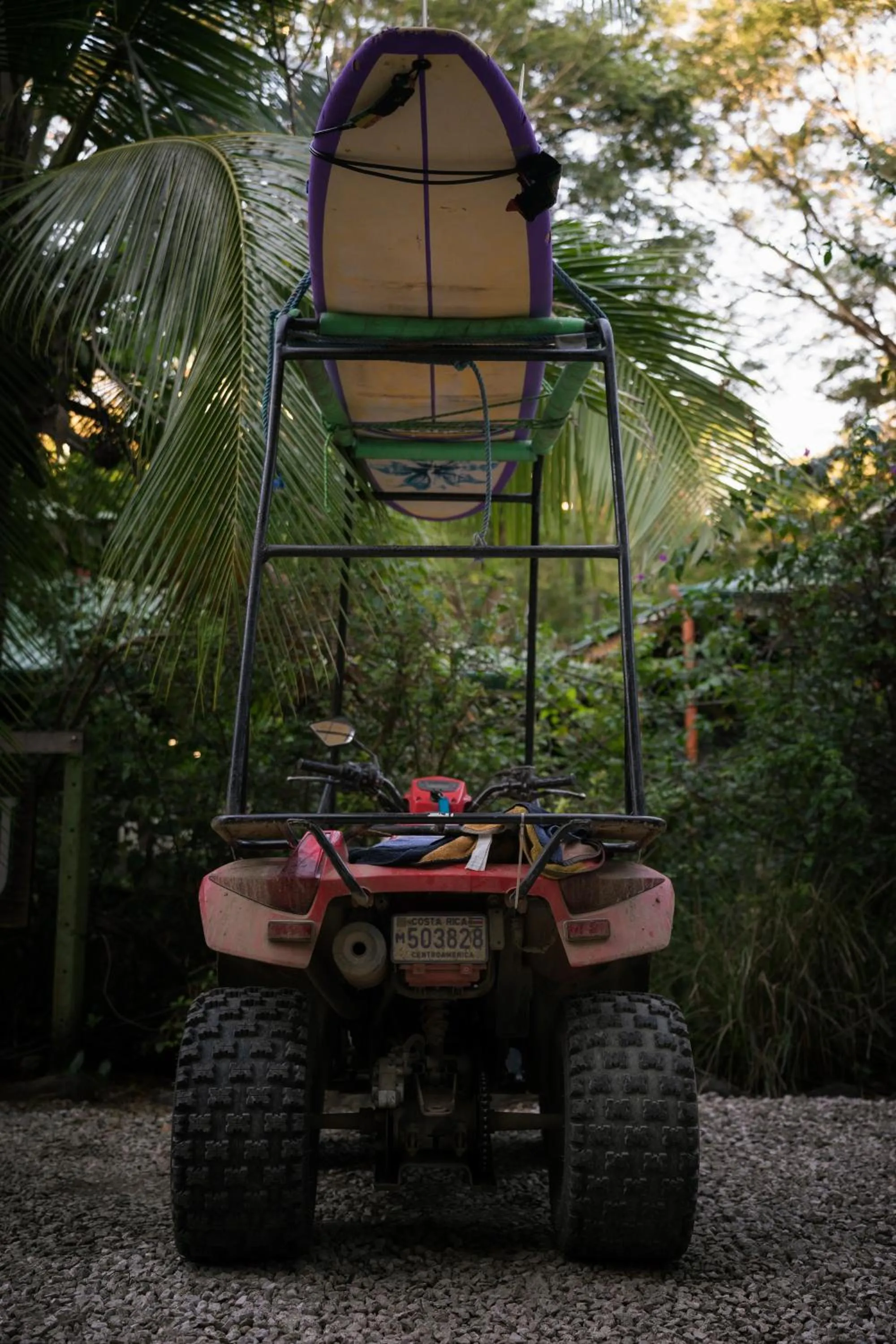 Activities in Jungles Edge Hotel, Jiu Jitsu, Muay Thai Retreat Center