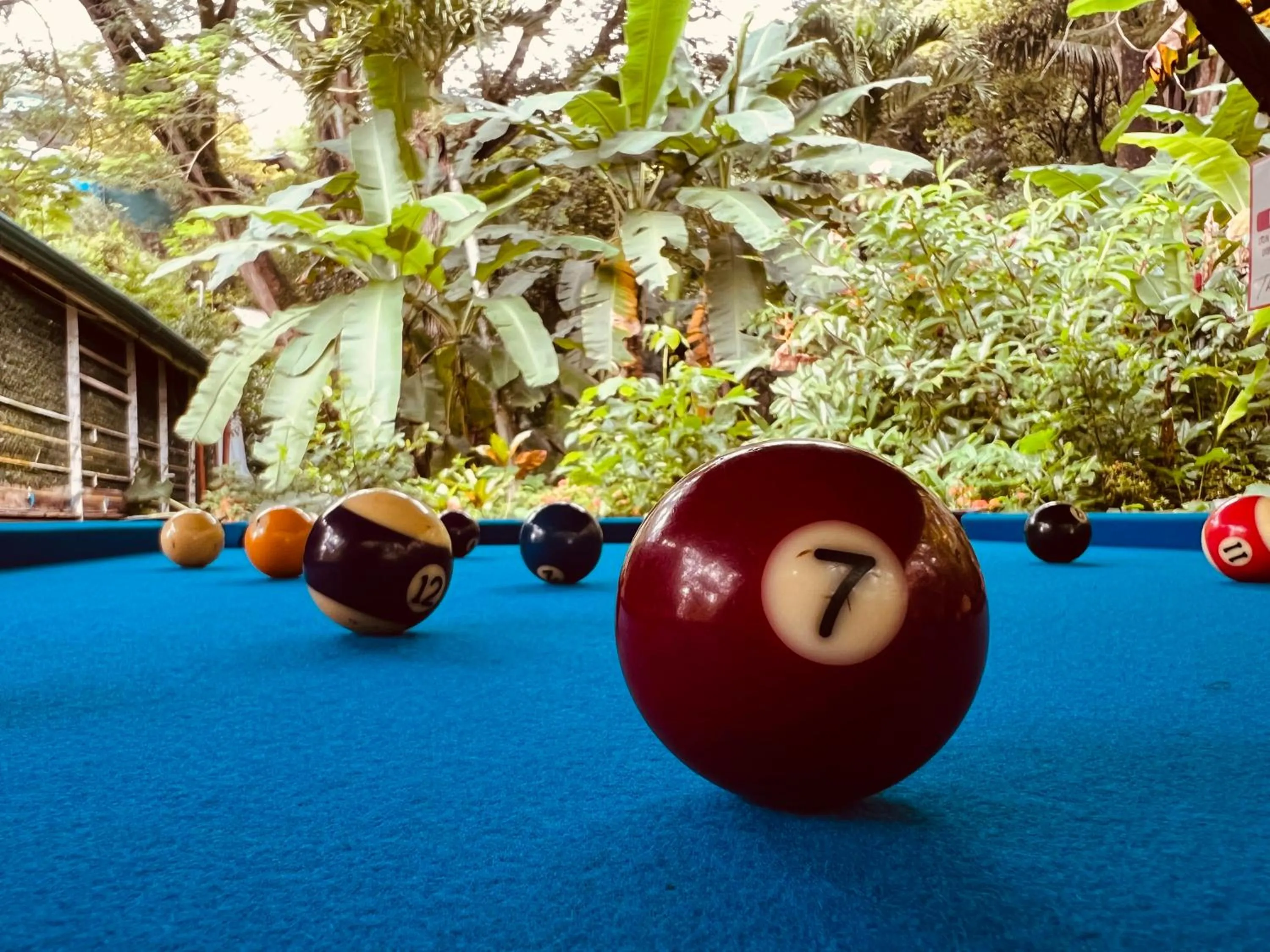 Billiard in Jungles Edge Hotel, Jiu Jitsu, Muay Thai Retreat Center