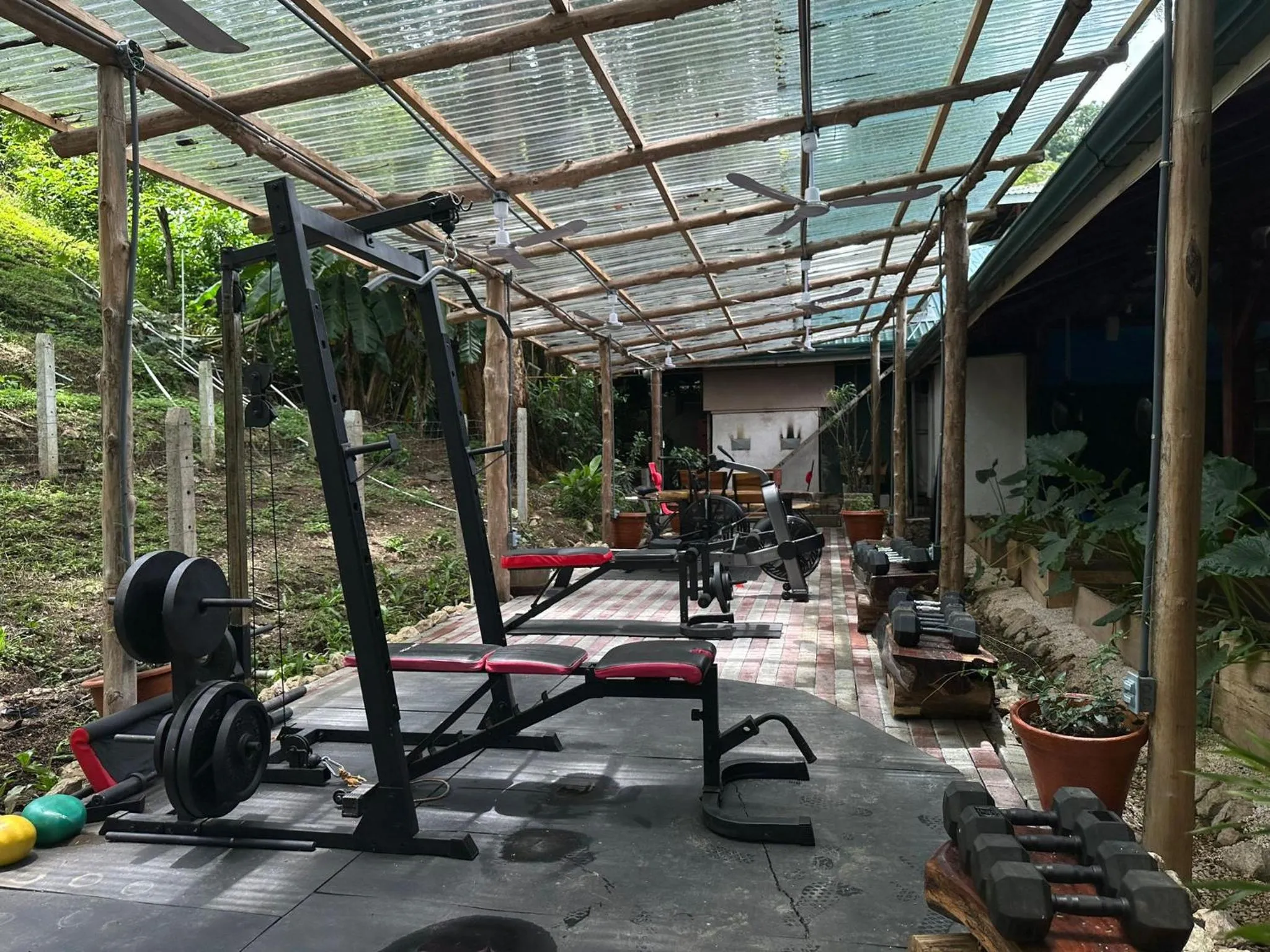 Fitness centre/facilities in Jungles Edge Hotel, Jiu Jitsu, Muay Thai Retreat Center
