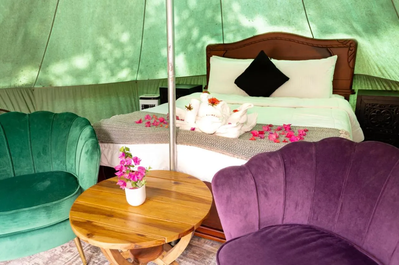 Glamping Tent in Jungles Edge Hotel, Jiu Jitsu, Muay Thai Retreat Center