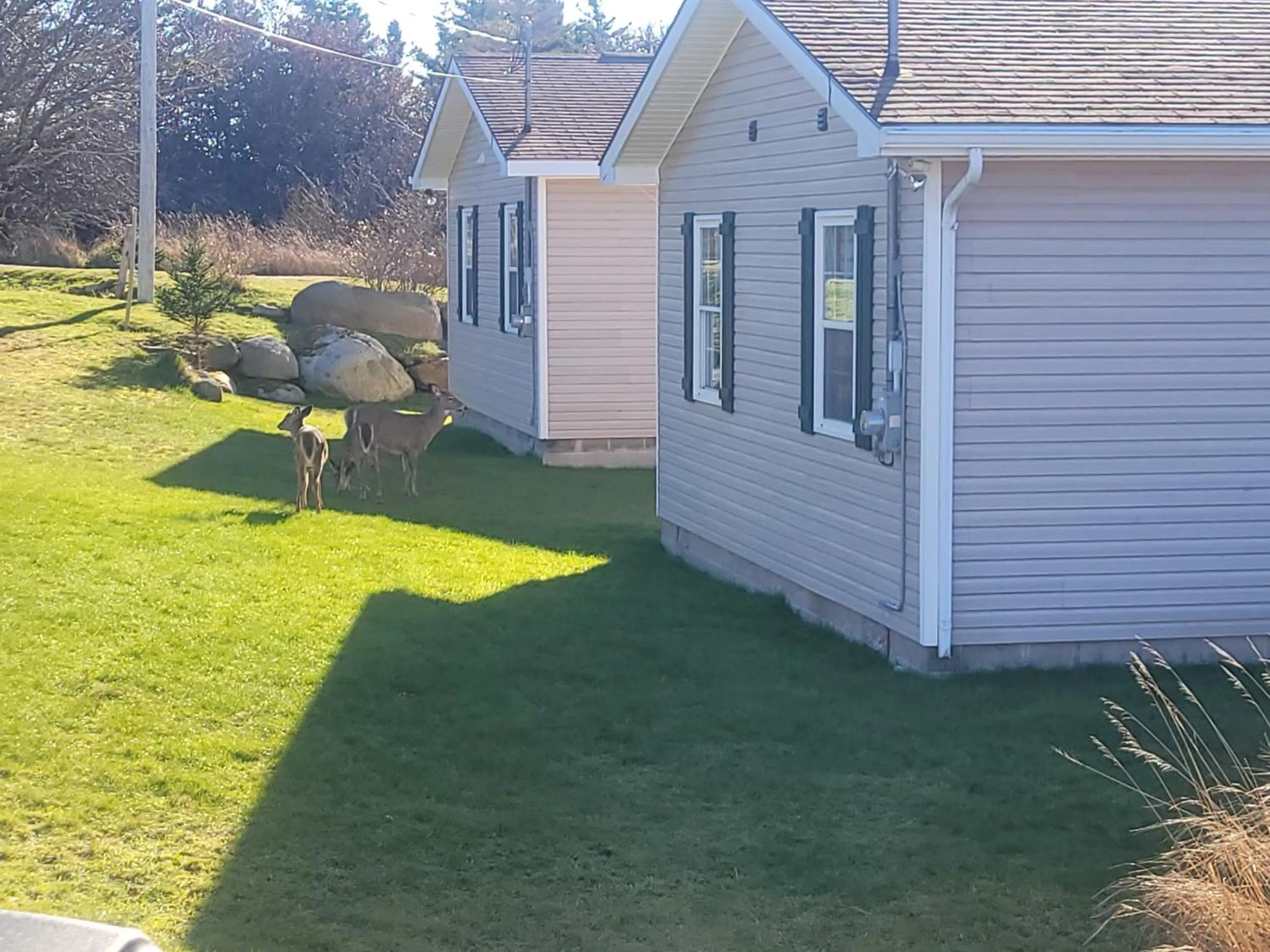 Guests in Whispering Waves Cottages