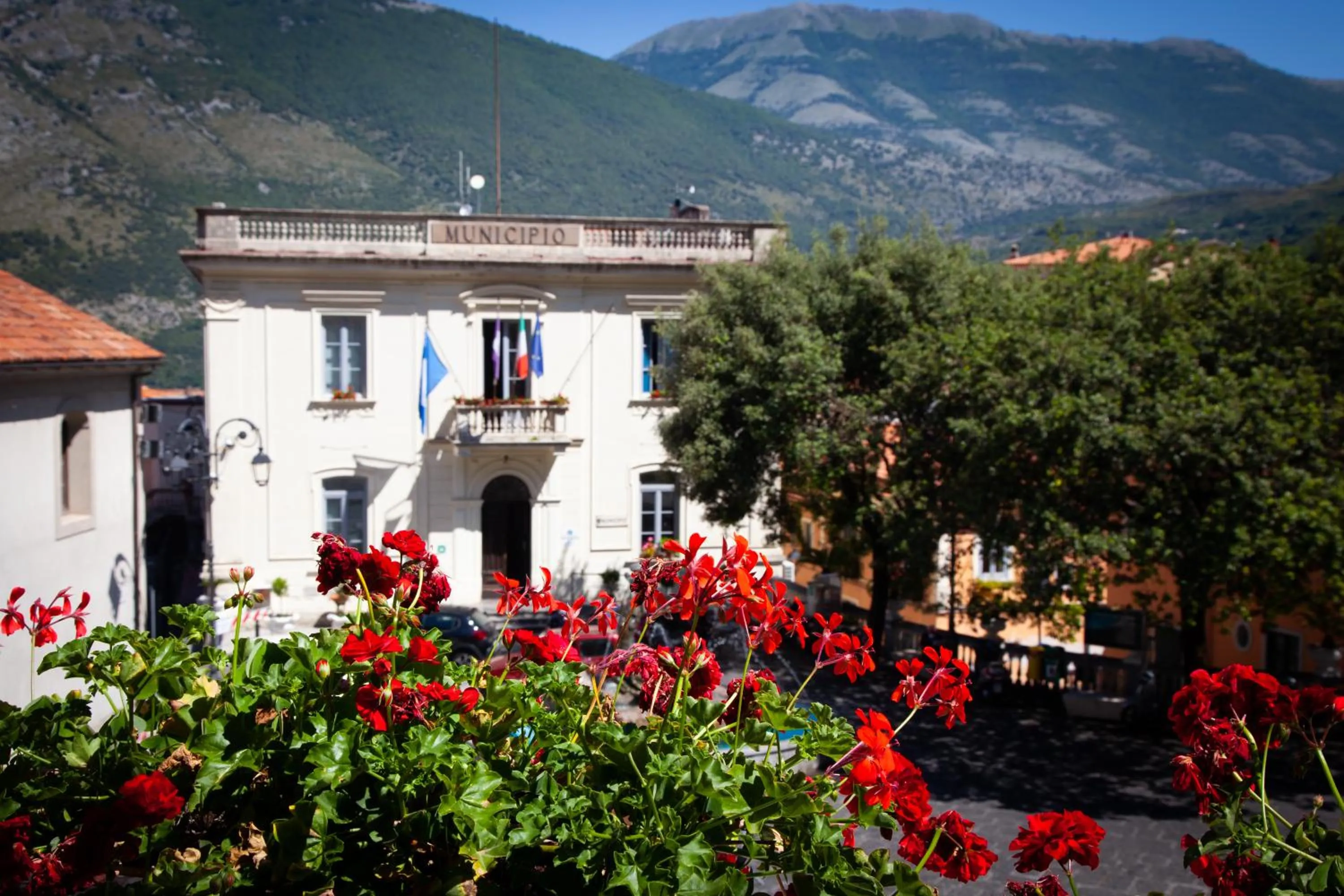 View (from property/room) in B&B La Torre