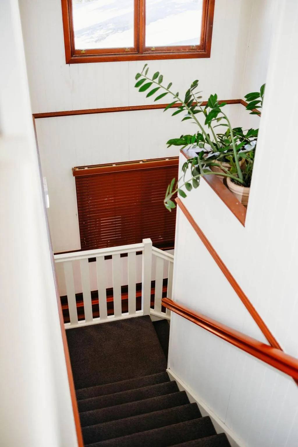 Guests in Maleny Hotel