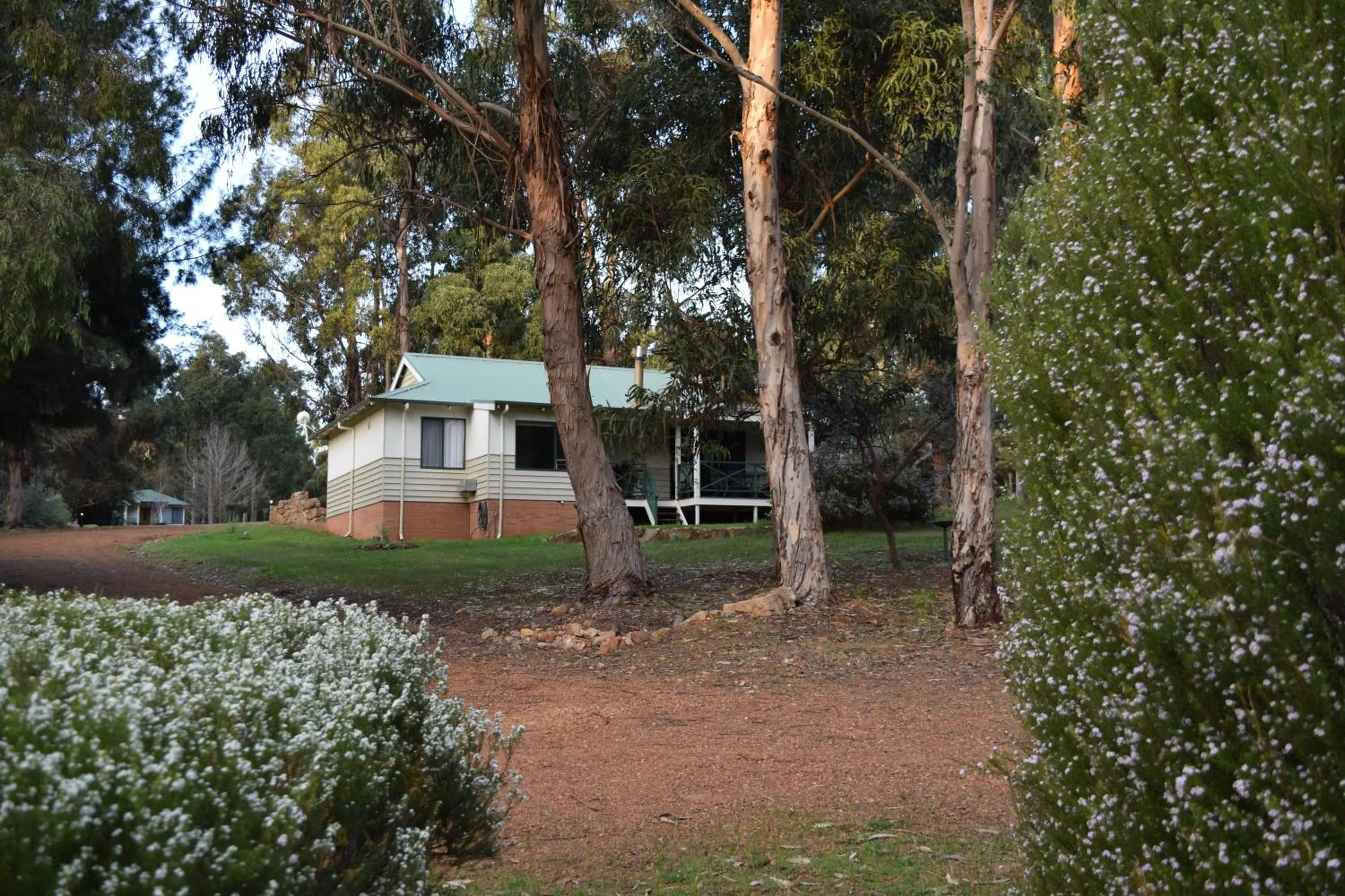 Property building in Bushy Lake Chalets
