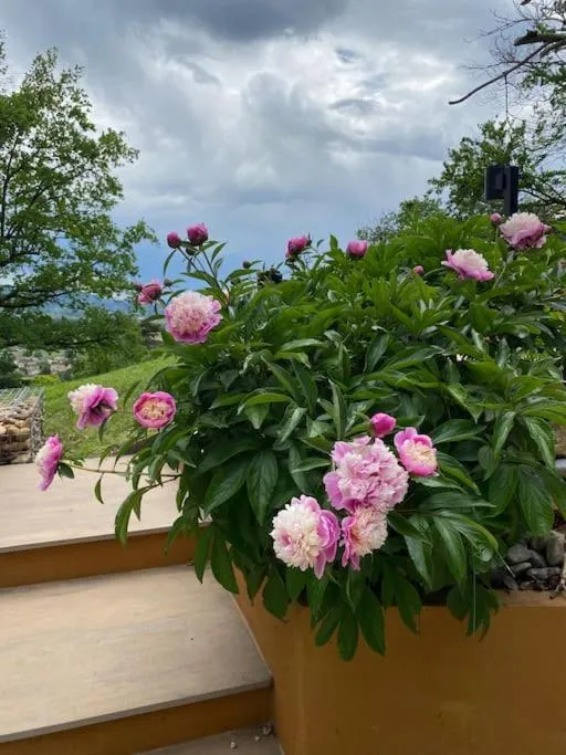 Domaine une HALTE