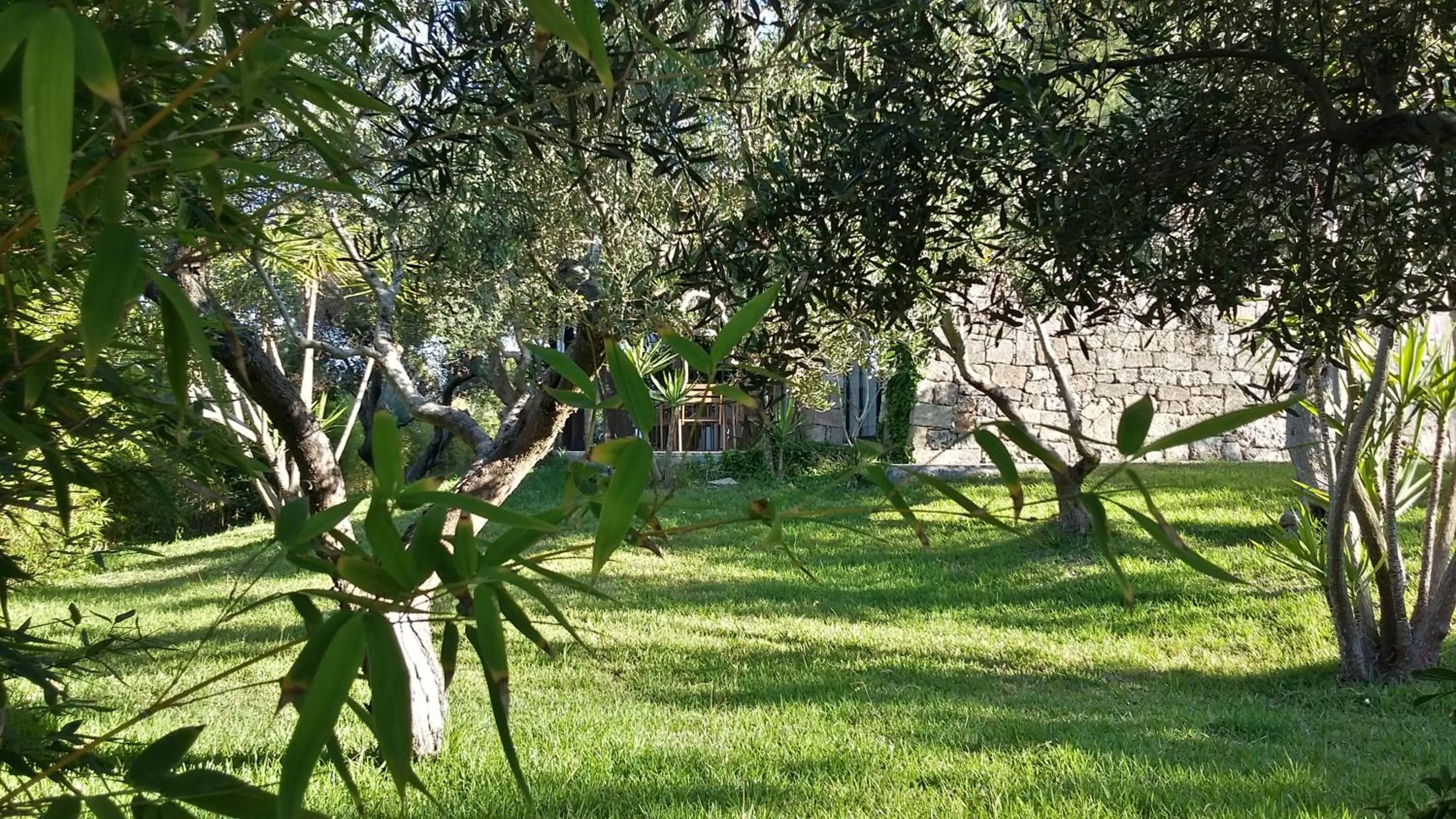 Garden in Tenuta Terenzano