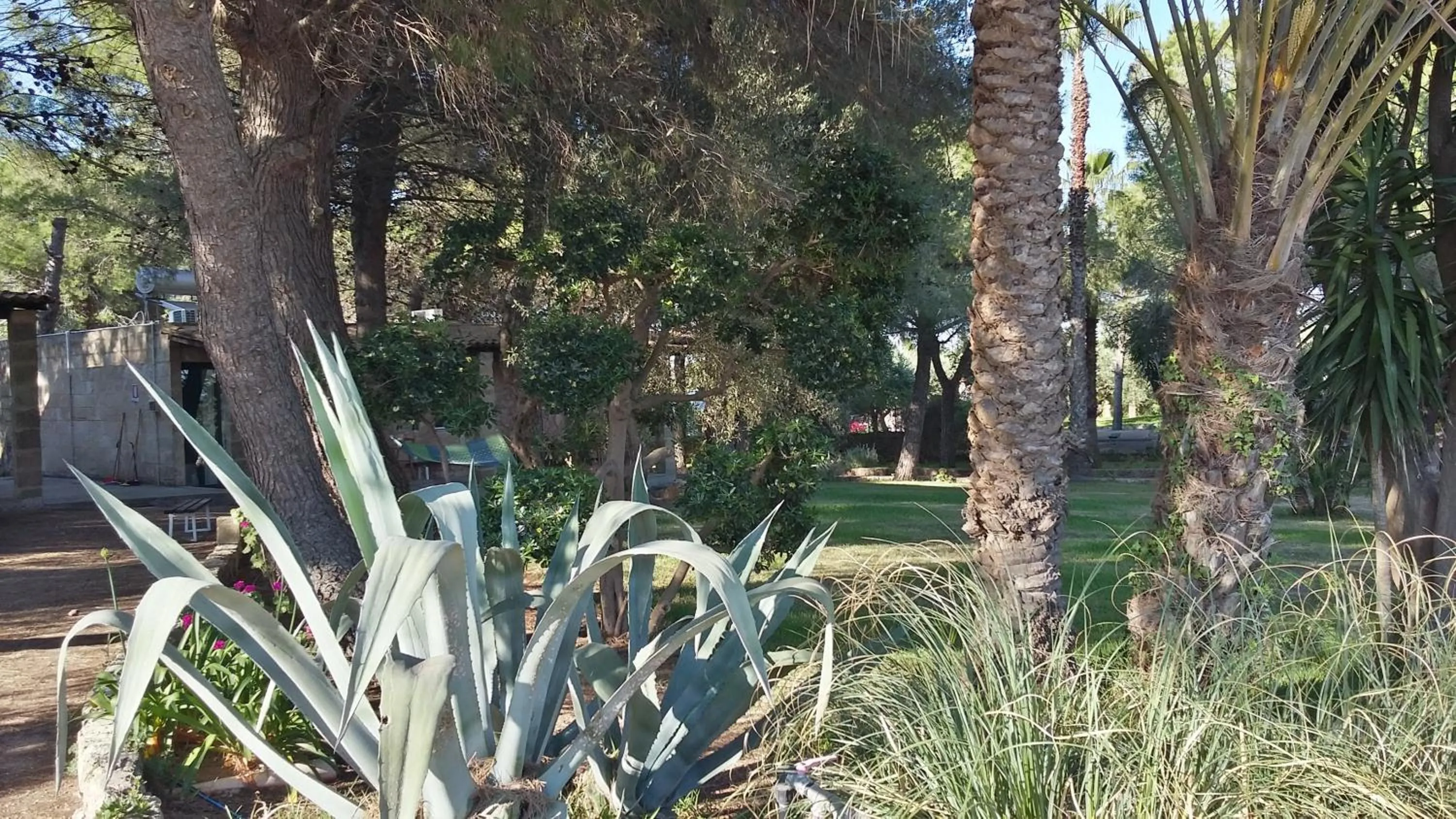 Garden in Tenuta Terenzano