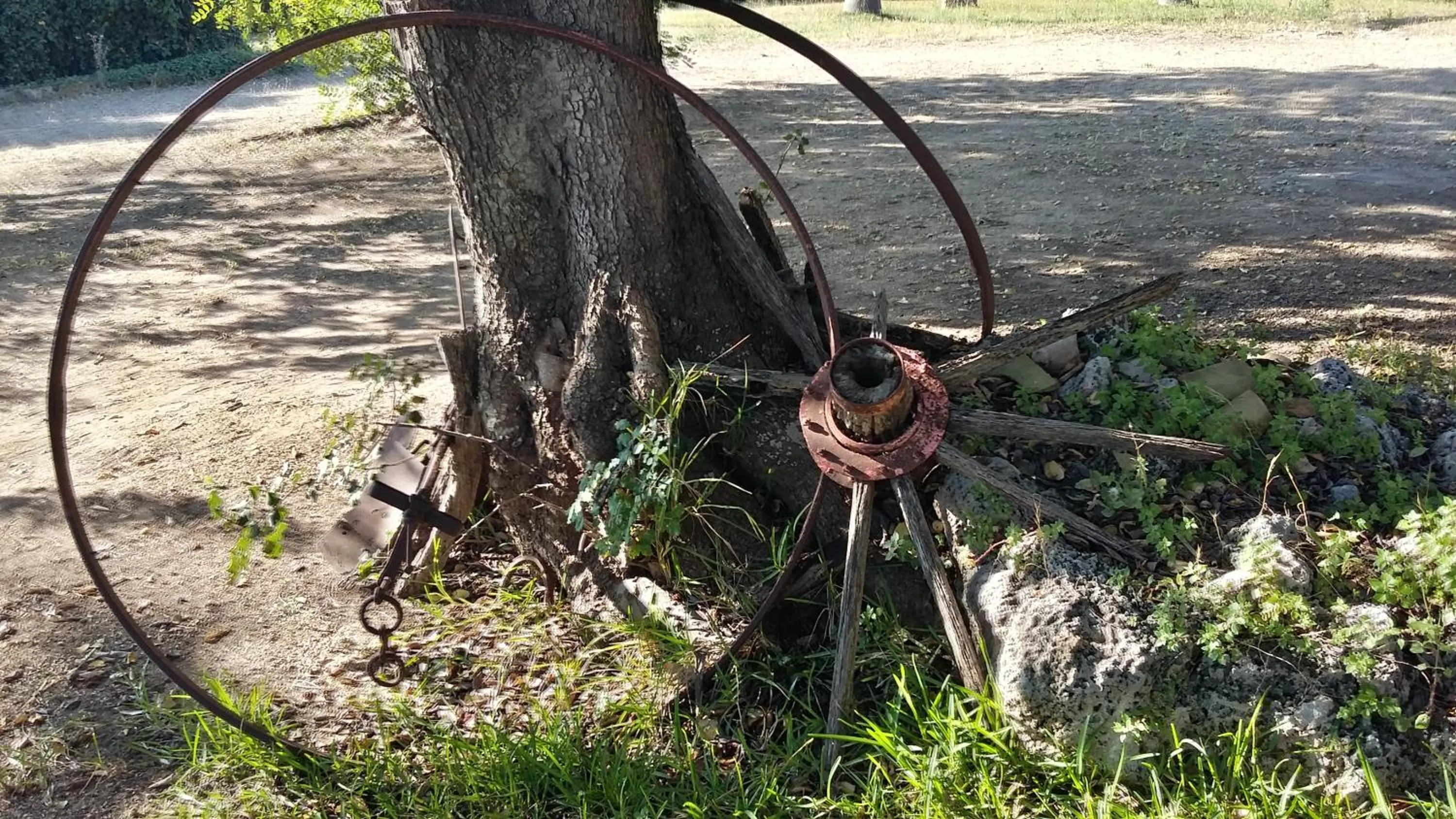 Garden in Tenuta Terenzano