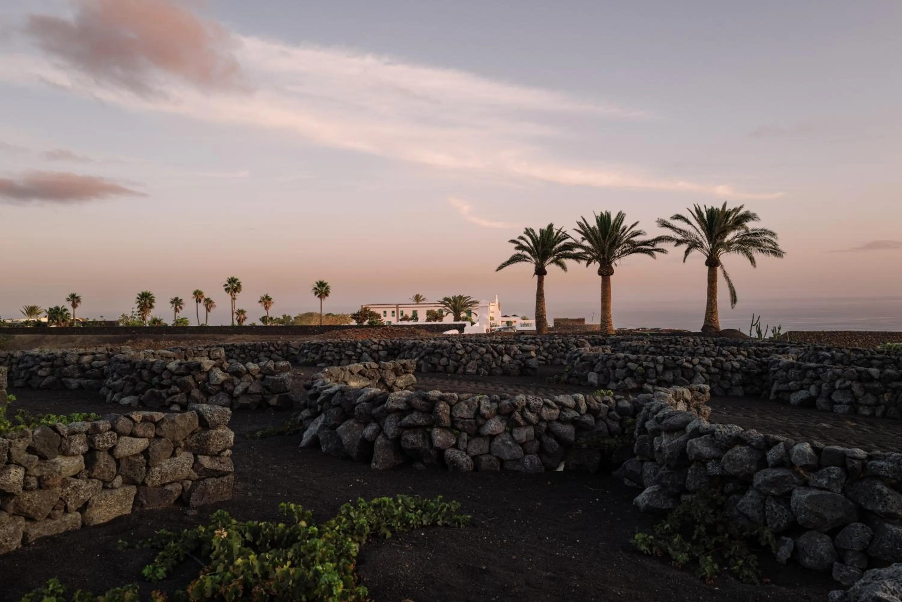 Natural landscape in César Lanzarote Luxury Boutique Hotel - Adults Only