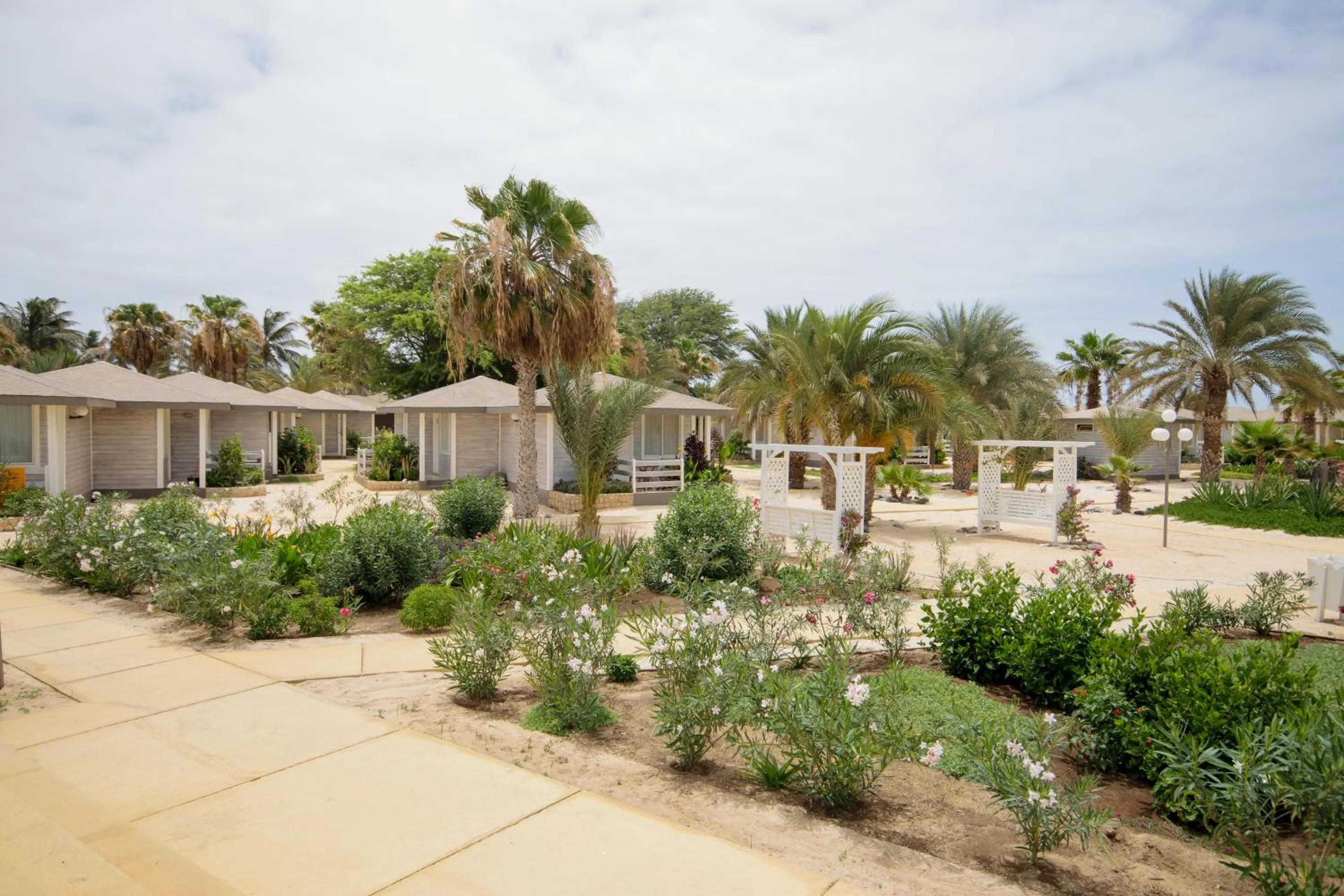 Garden in Oasis Belorizonte