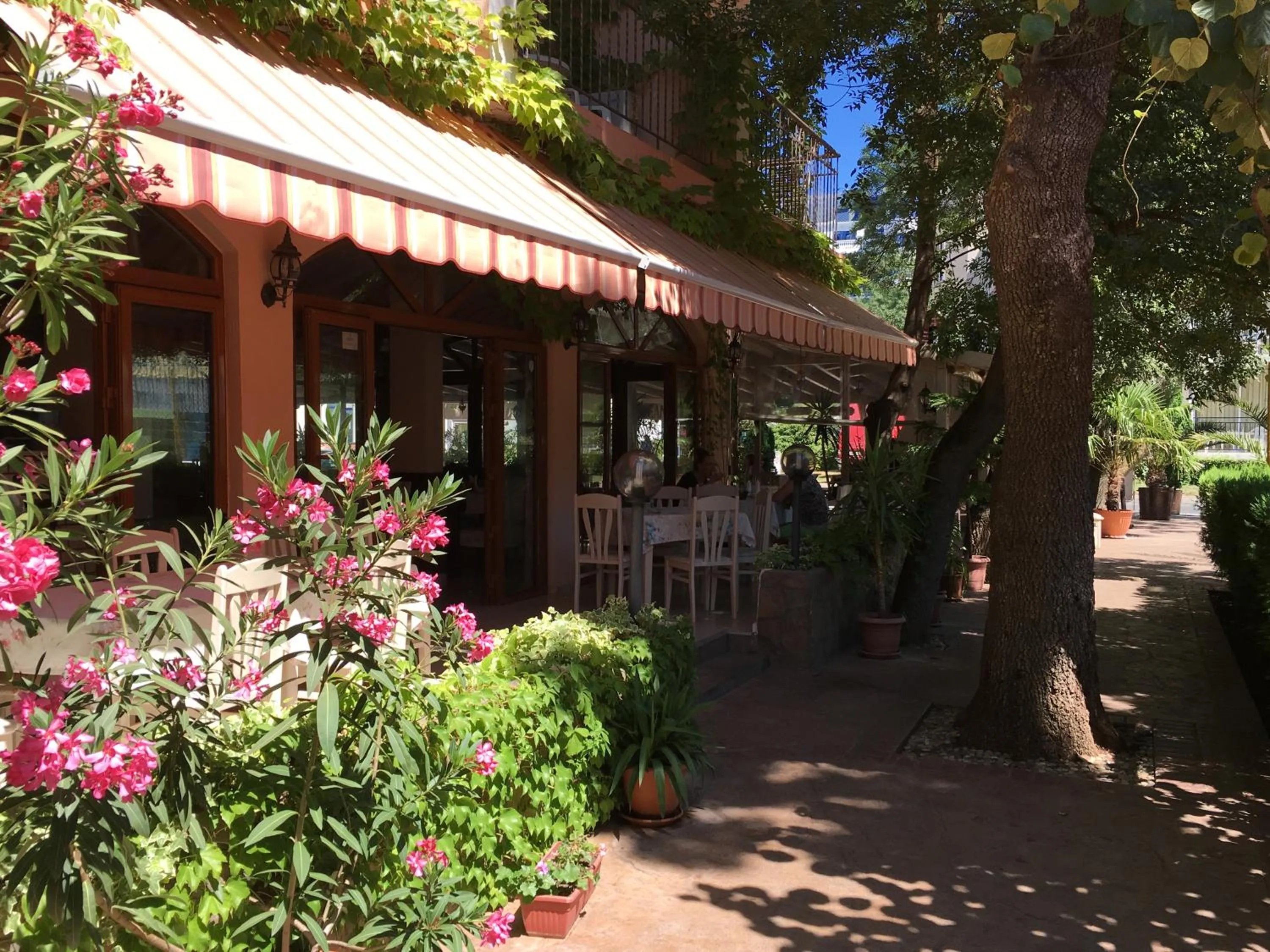 Restaurant/places to eat in Oleander House and Tennis Club