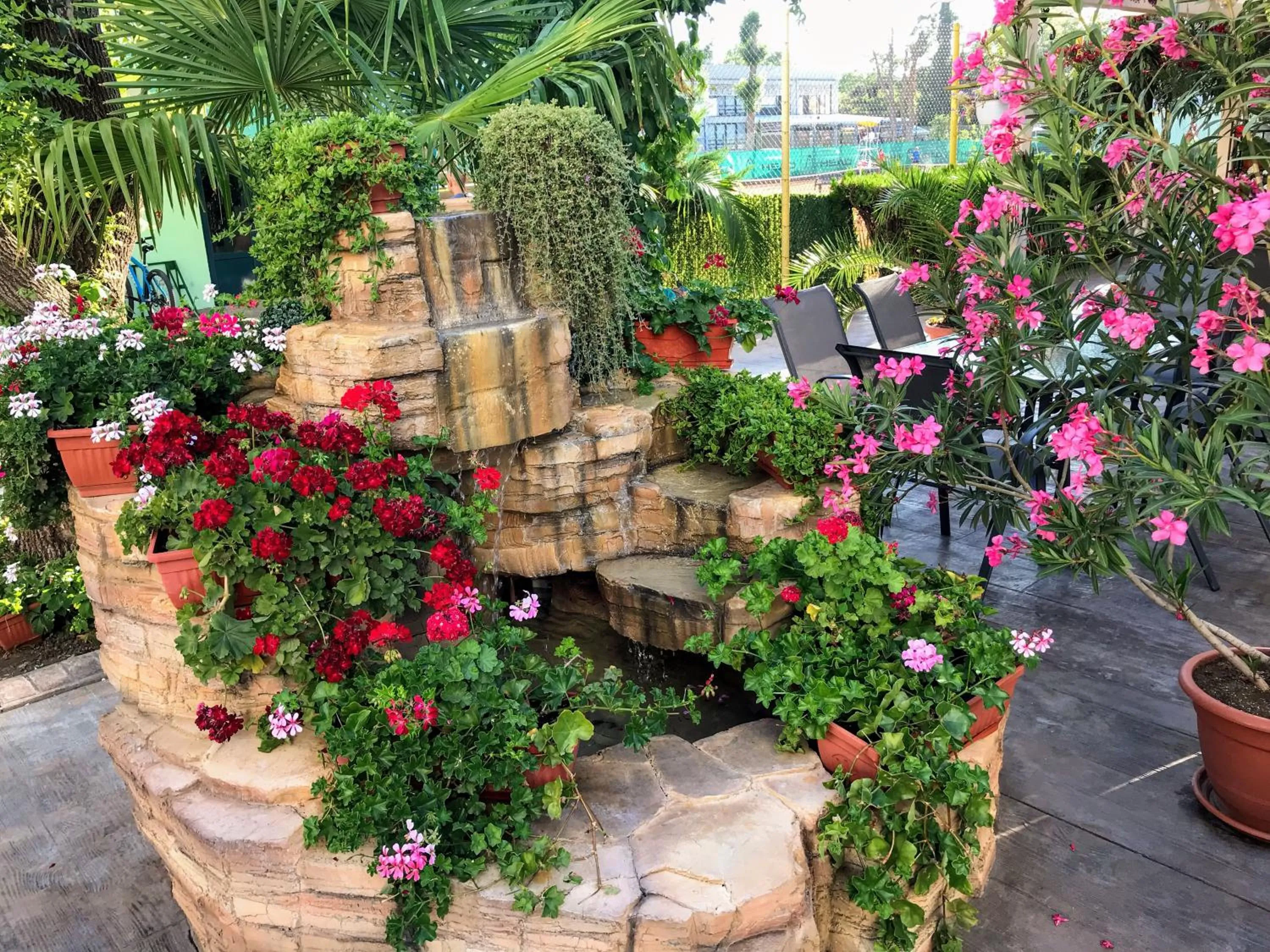 Restaurant/places to eat in Oleander House and Tennis Club