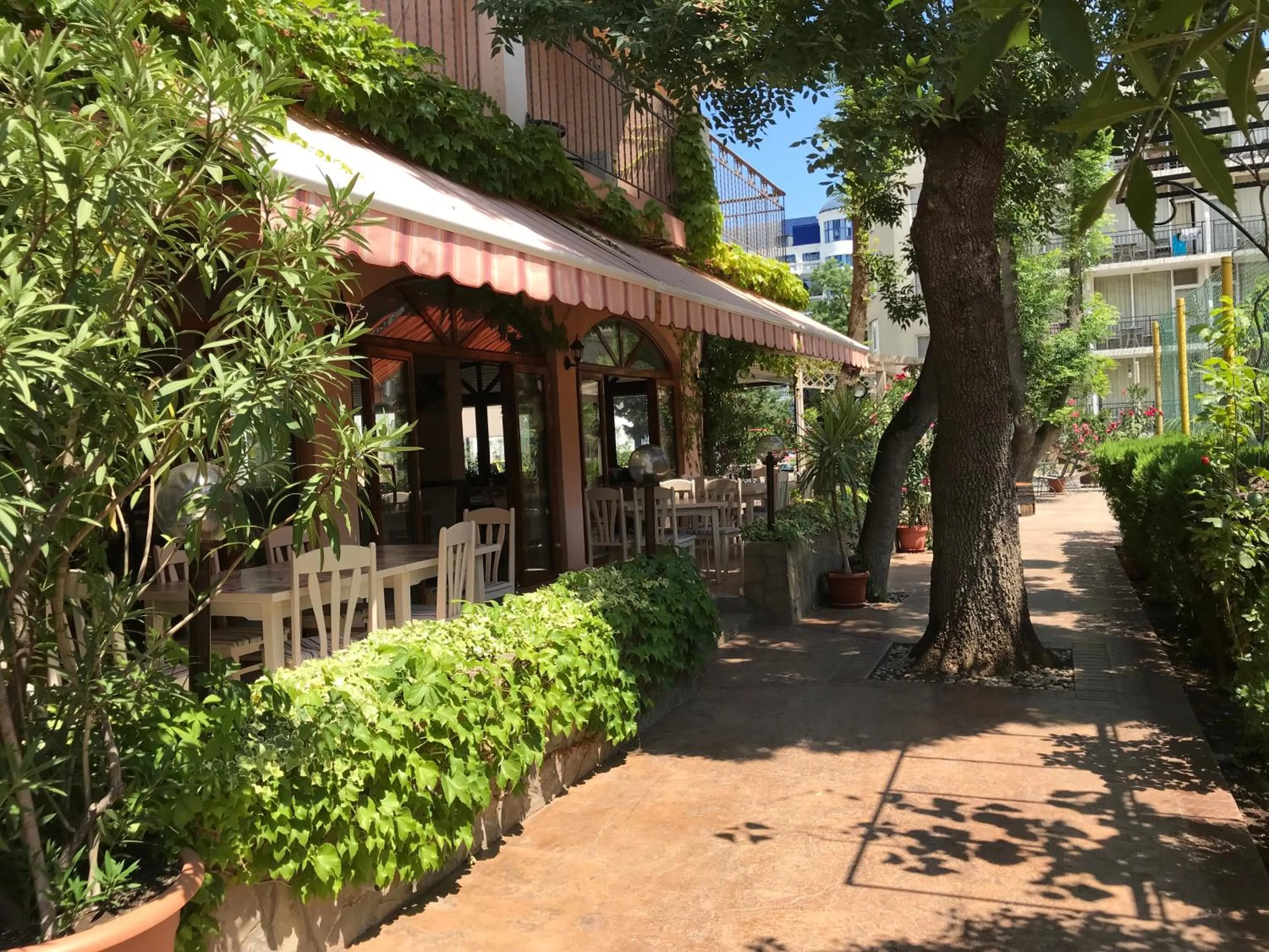 Restaurant/places to eat in Oleander House and Tennis Club