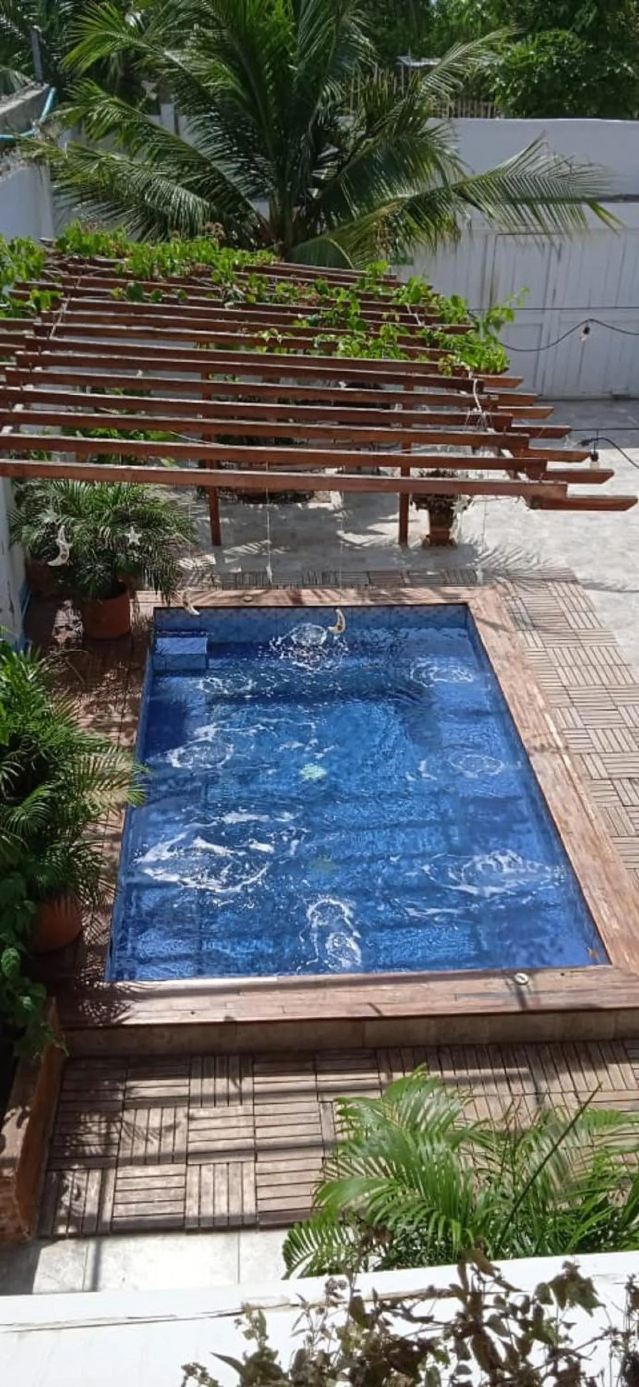 Swimming pool in HOSTAL LA BOQUILLA