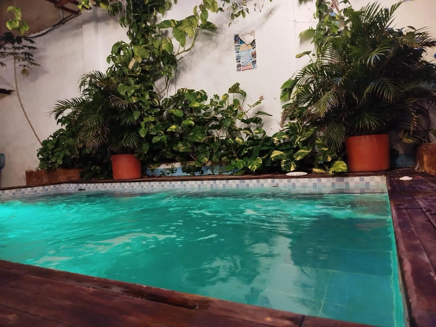 Pool view in HOSTAL LA BOQUILLA