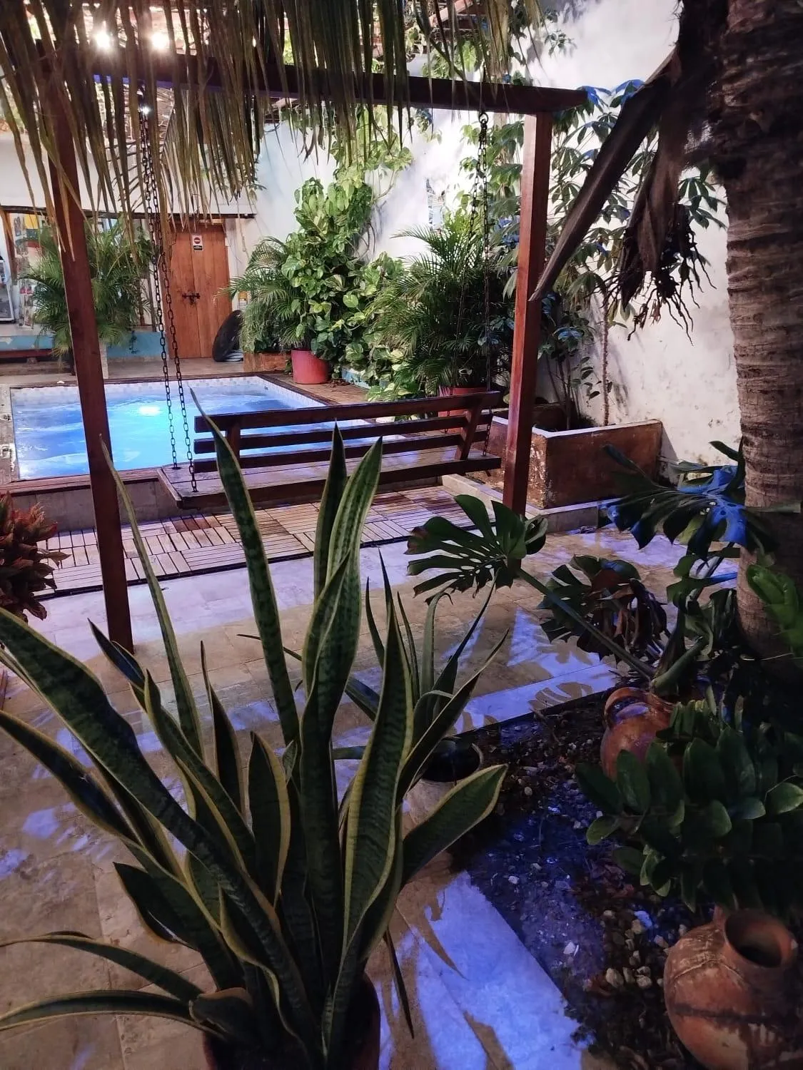 Garden view in HOSTAL LA BOQUILLA