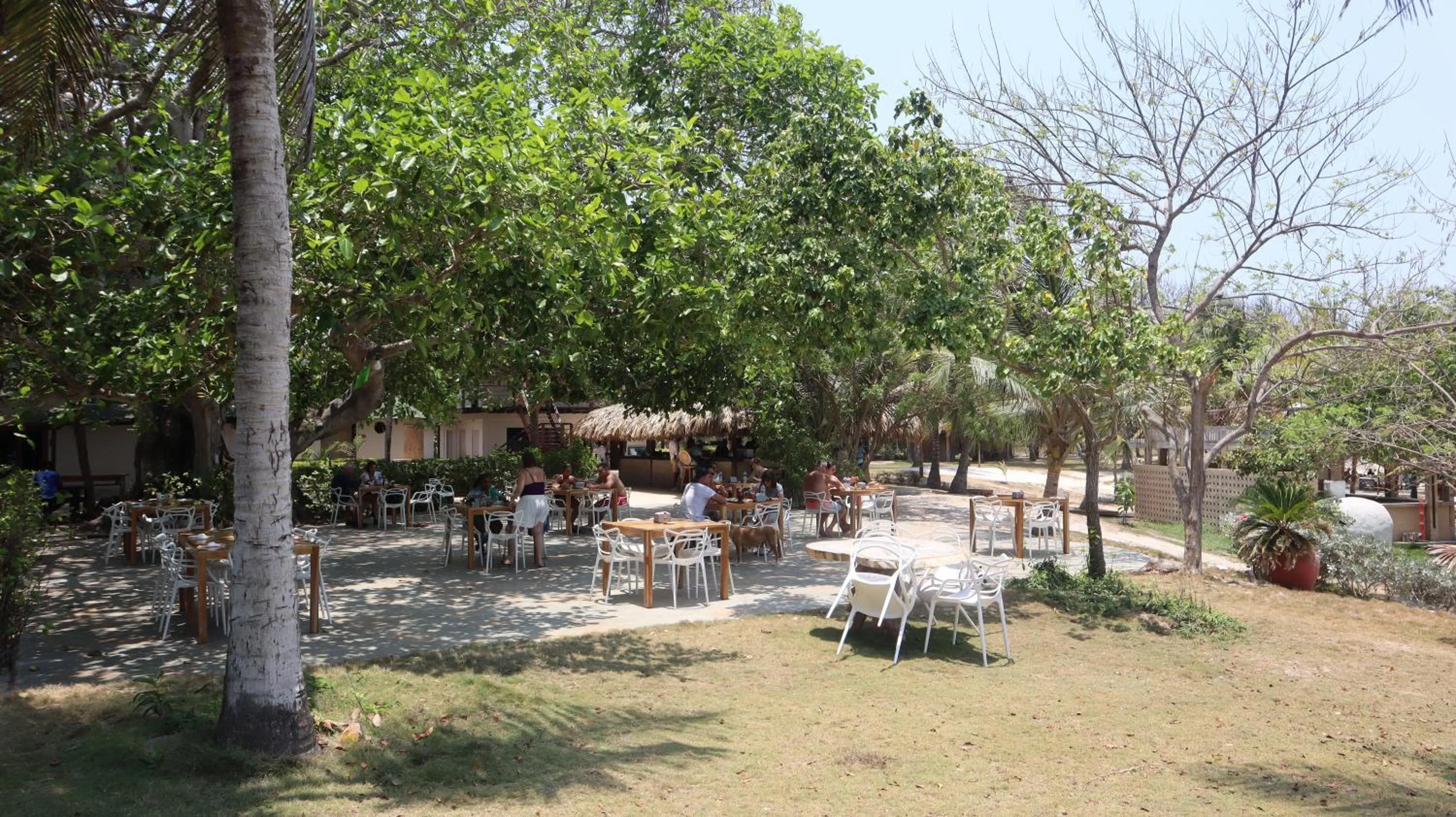 Restaurant/places to eat in Hotel Rosario de Mar by Tequendama