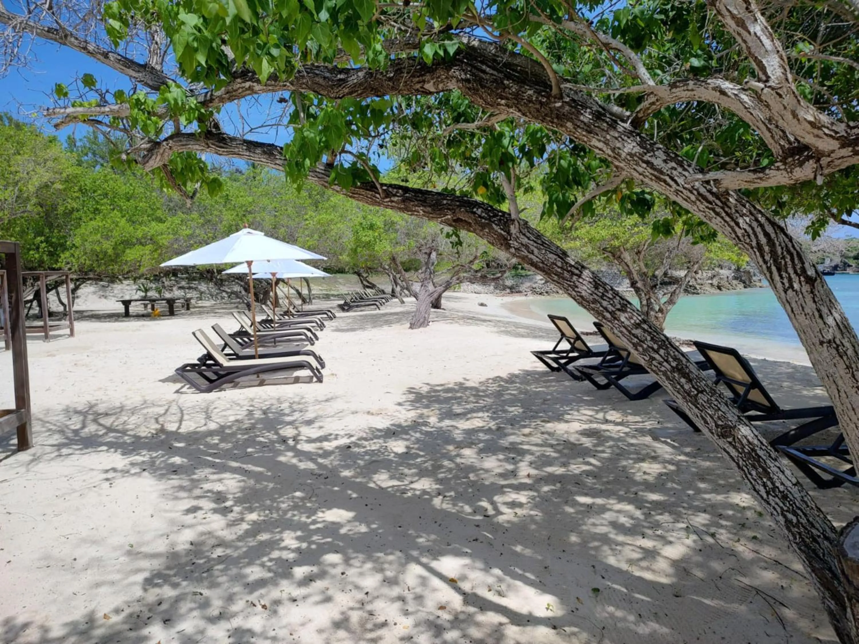 Beach in Hotel Rosario de Mar by Tequendama