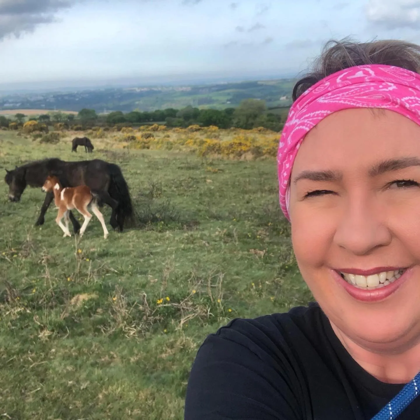 Activities in The Moorland Hotel