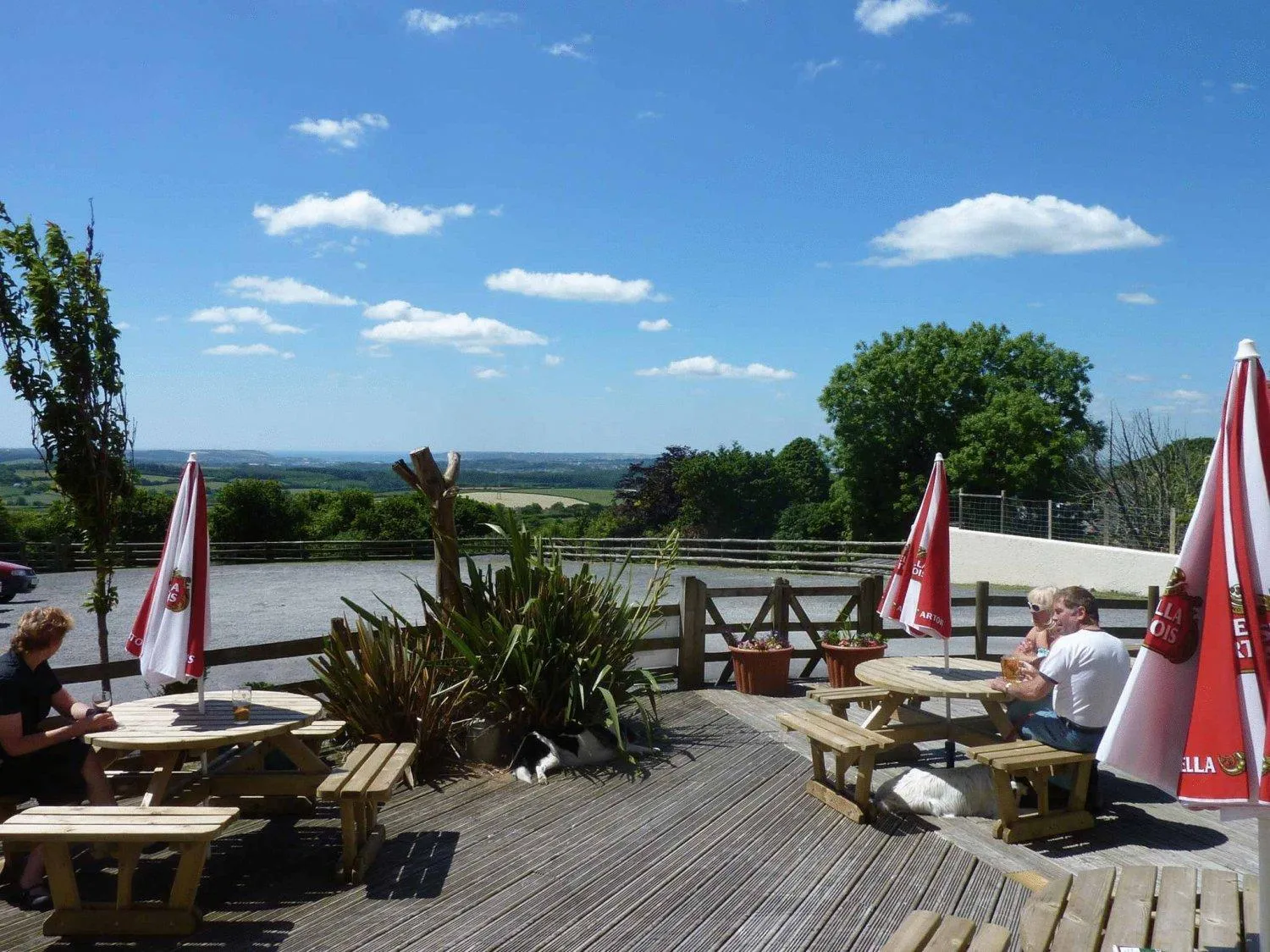 Garden in The Moorland Hotel
