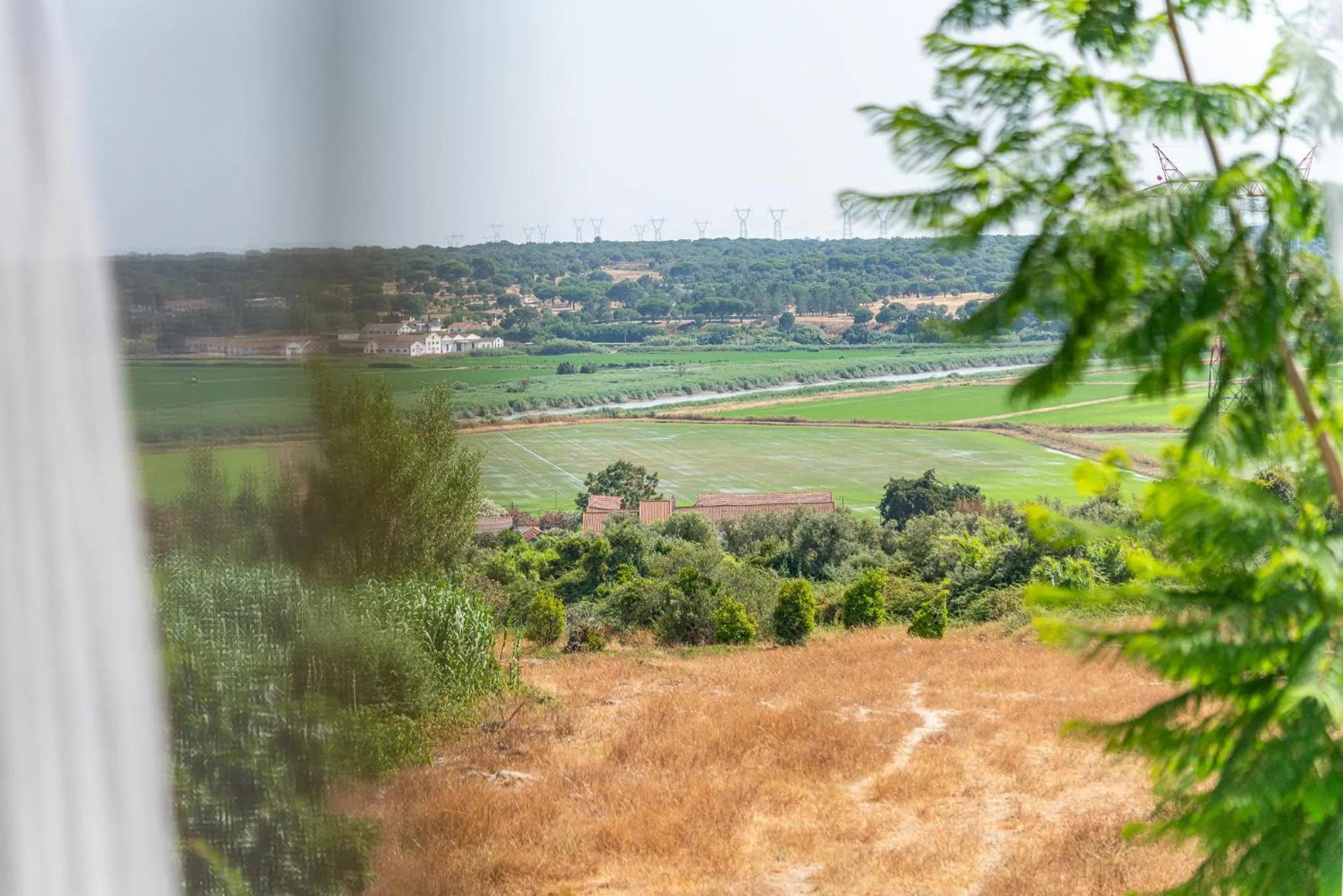 4Ever Palace Design&Nature