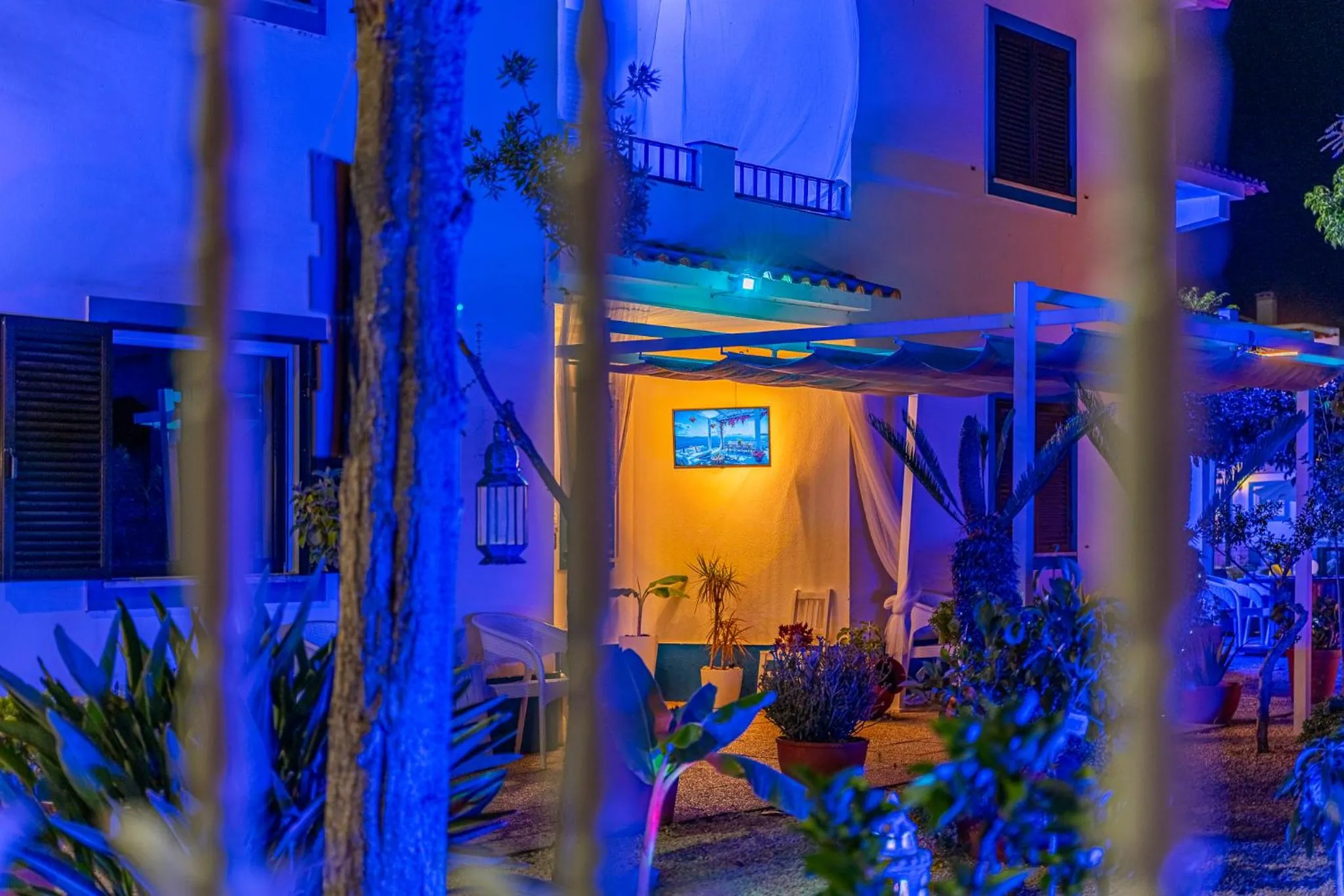 Patio in 4Ever Palace Design&Nature