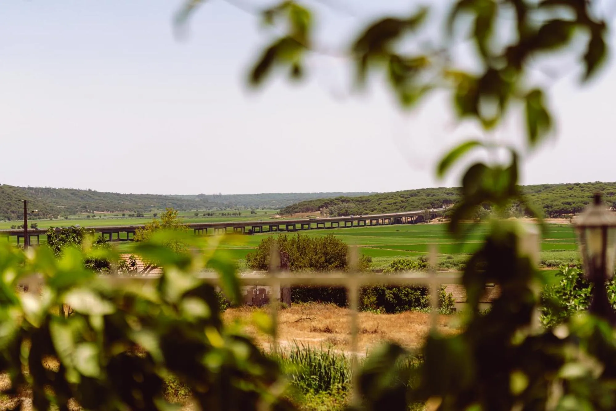 Spring in 4Ever Palace Design&Nature