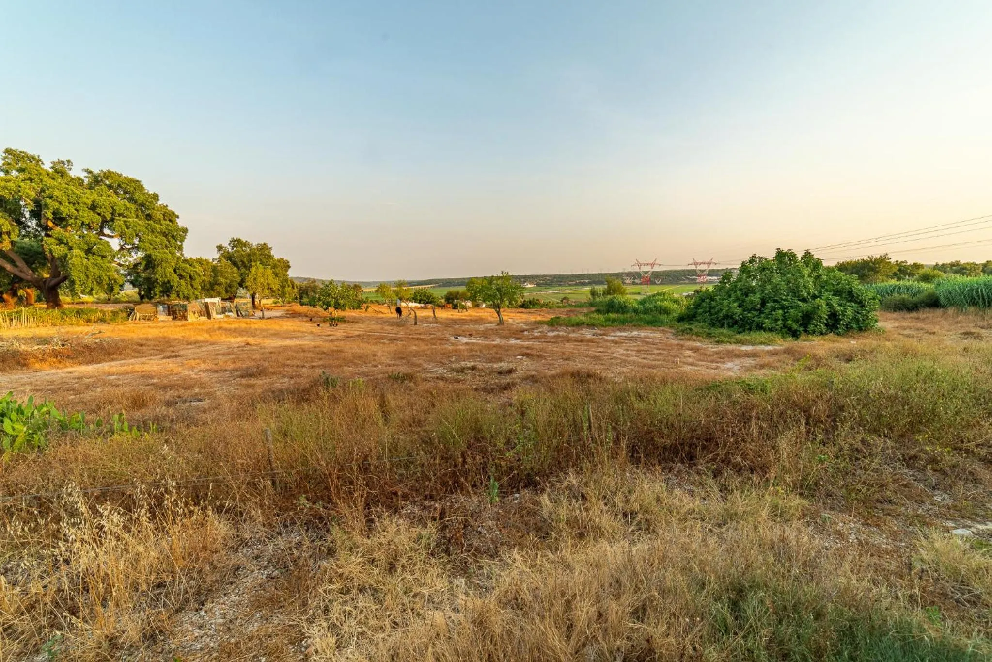 4Ever Palace Design&Nature