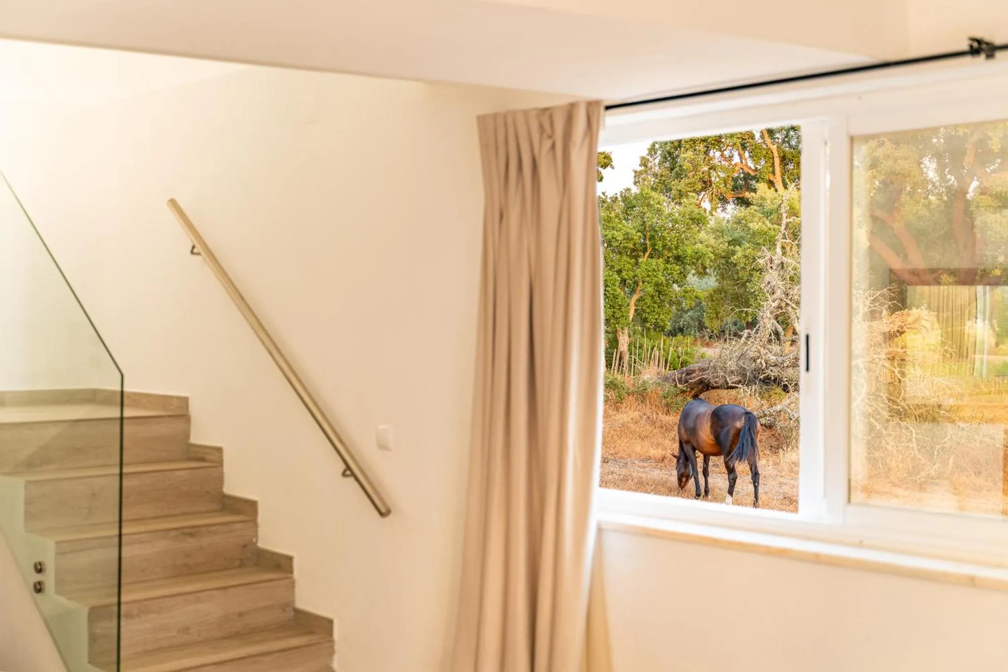 4Ever Palace Design&Nature