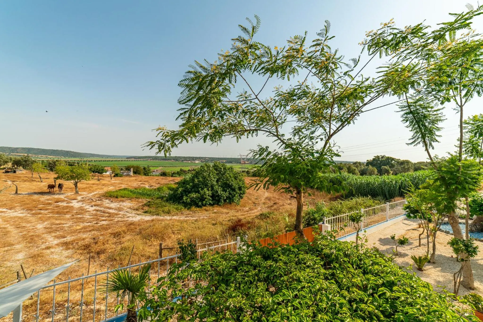 4Ever Palace Design&Nature