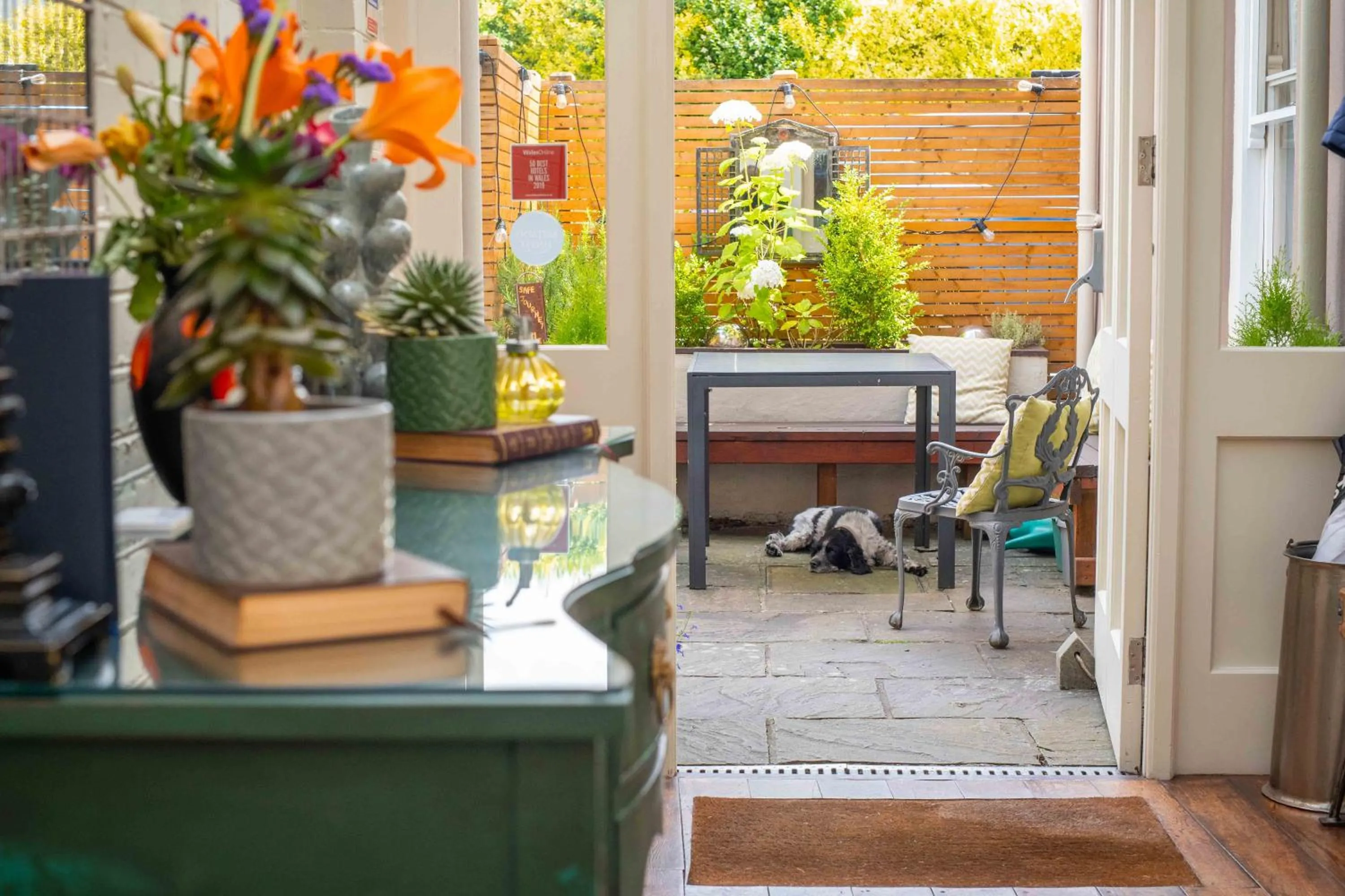 Property building in The New White Lion