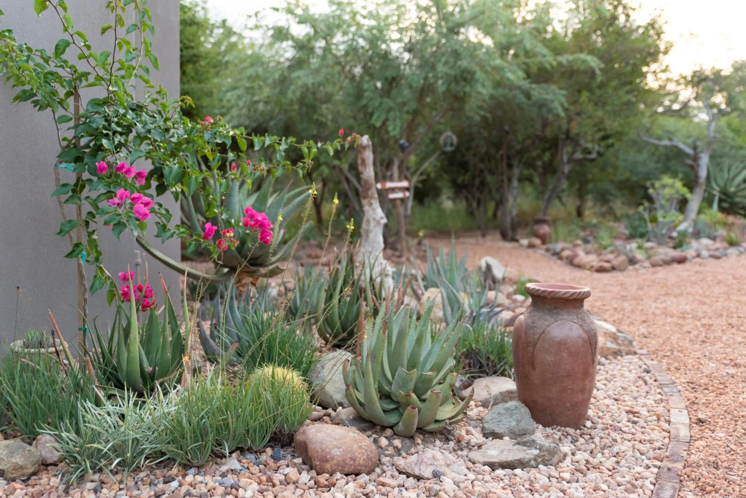 Garden in Nyaleti Lodge