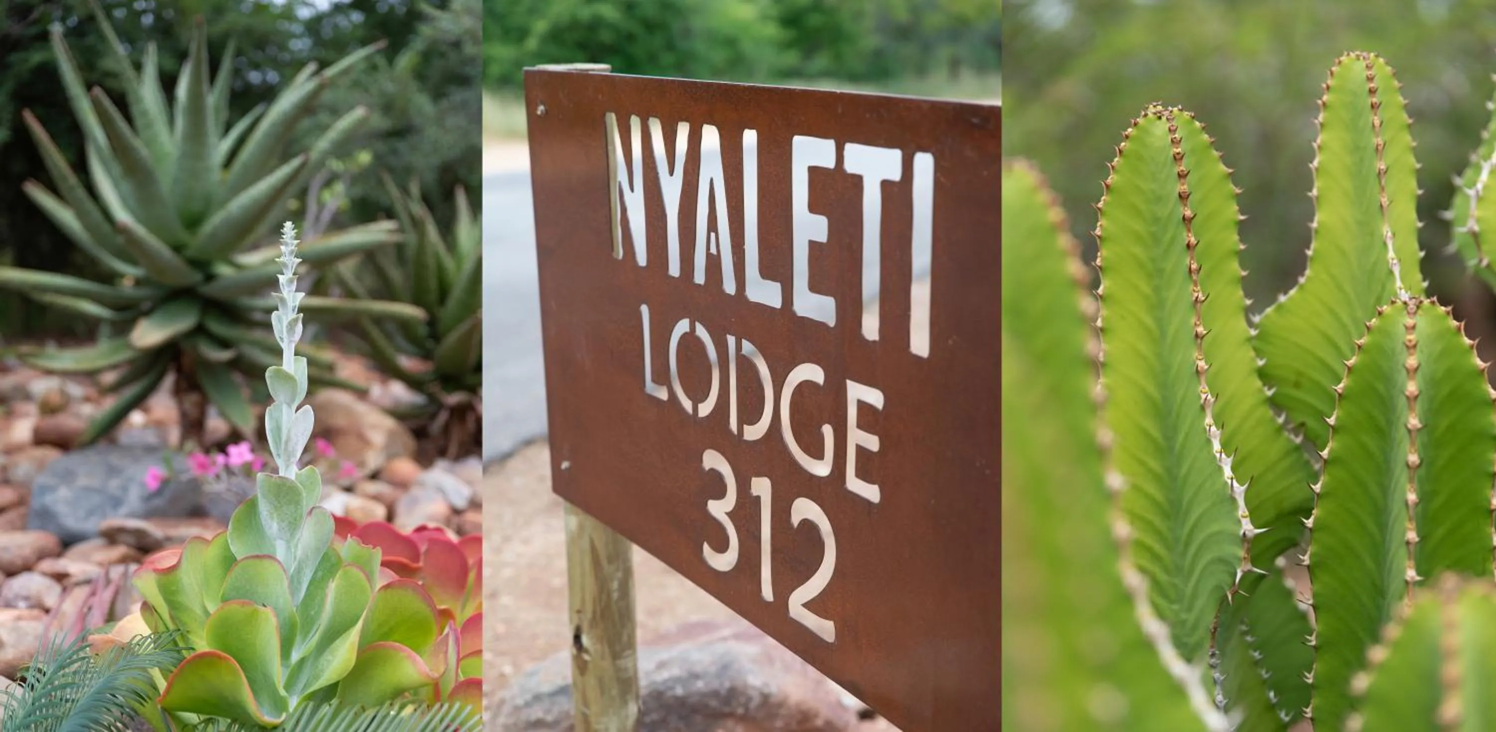 Logo/Certificate/Sign in Nyaleti Lodge