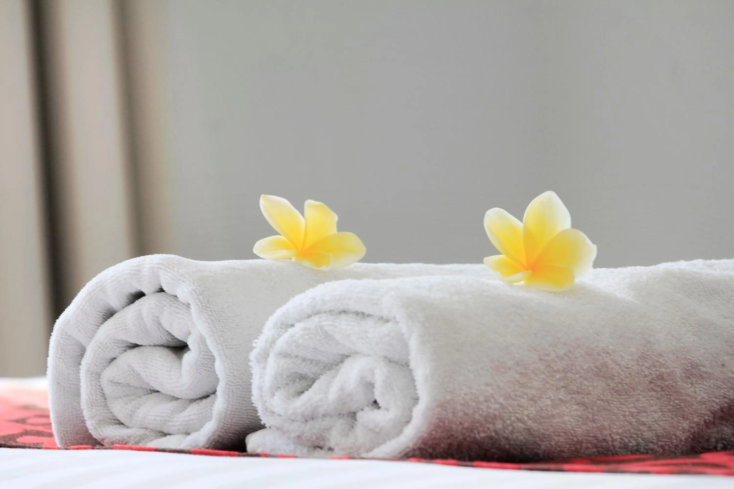 Other in The Brothers Villa