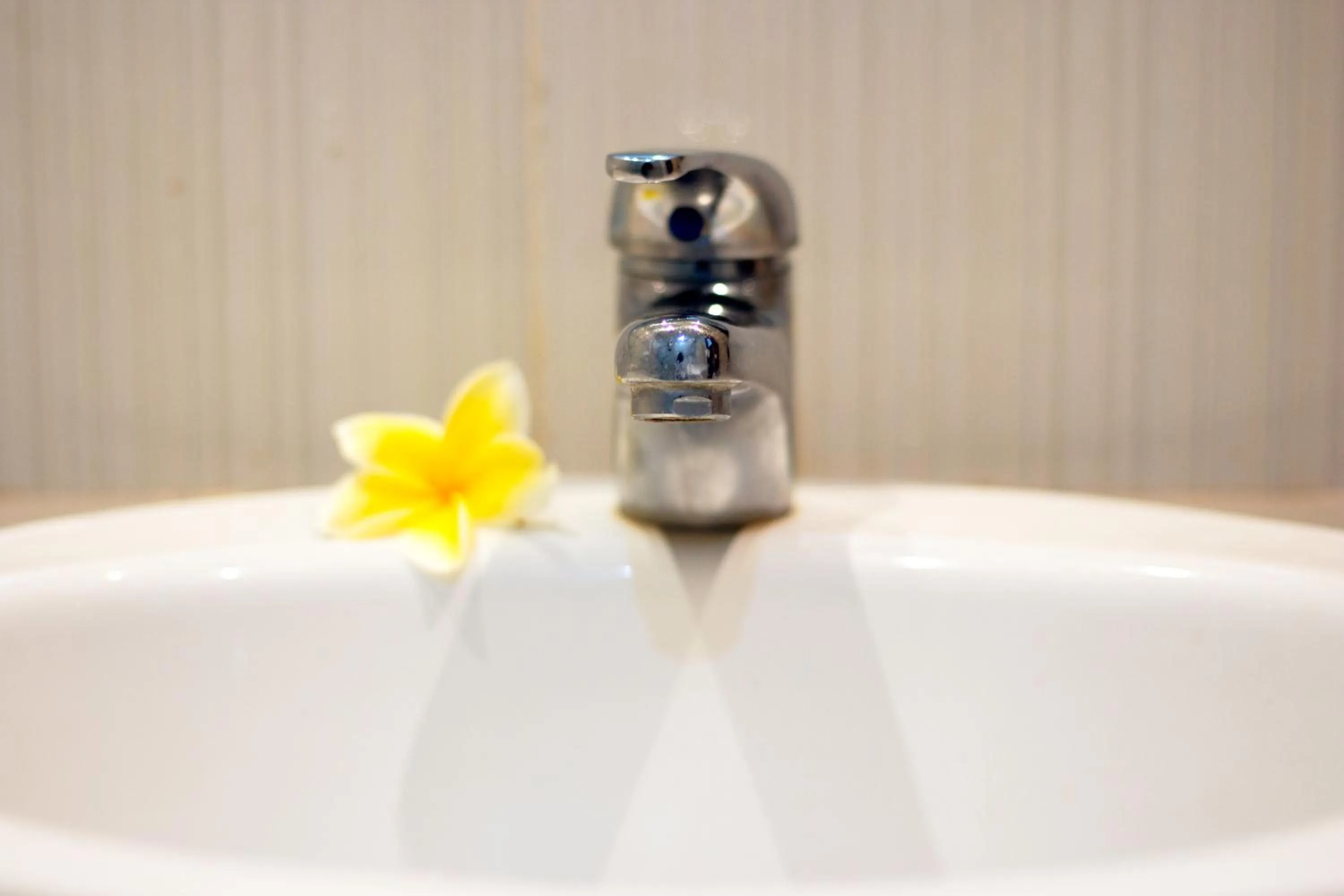 Other in The Brothers Villa