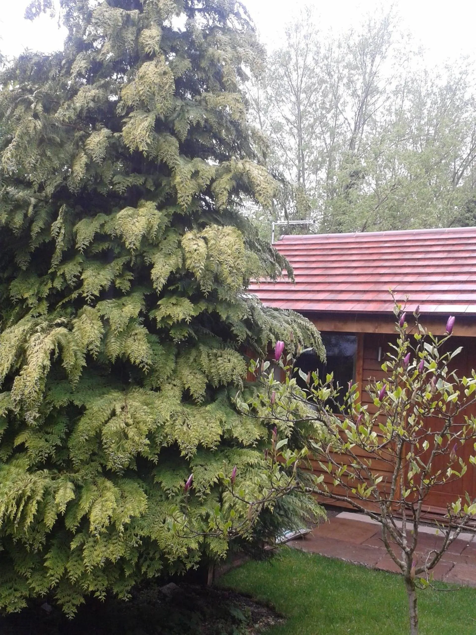 Spring in Manor Garden Lodge