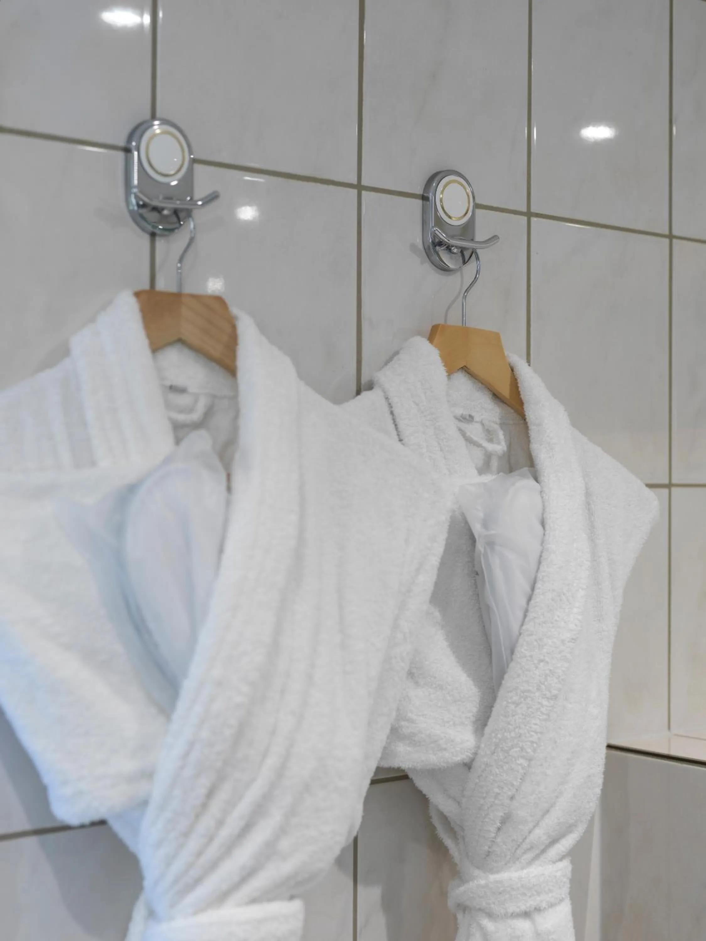 Sunborn London Yacht Hotel