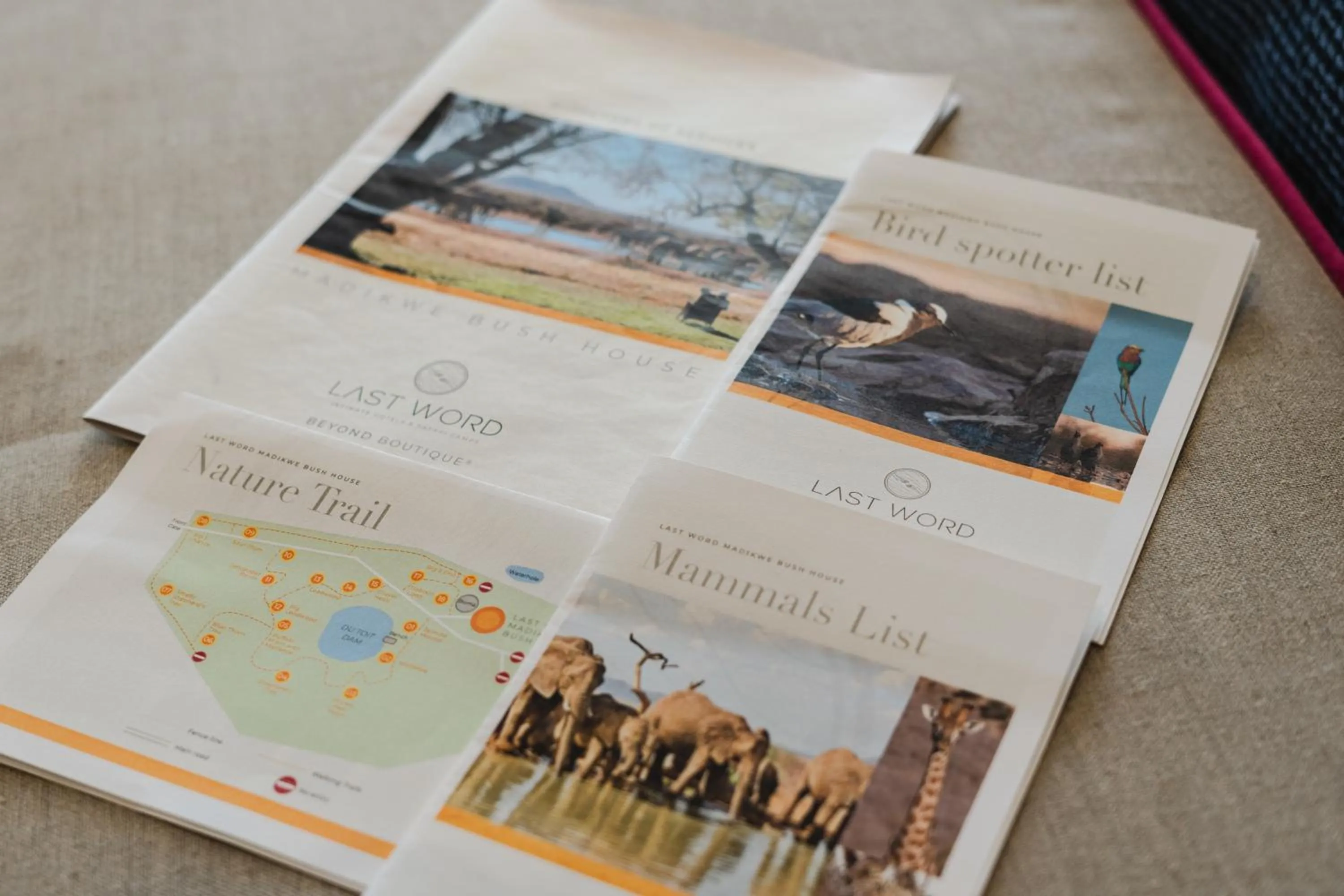 Animals in Last Word Madikwe