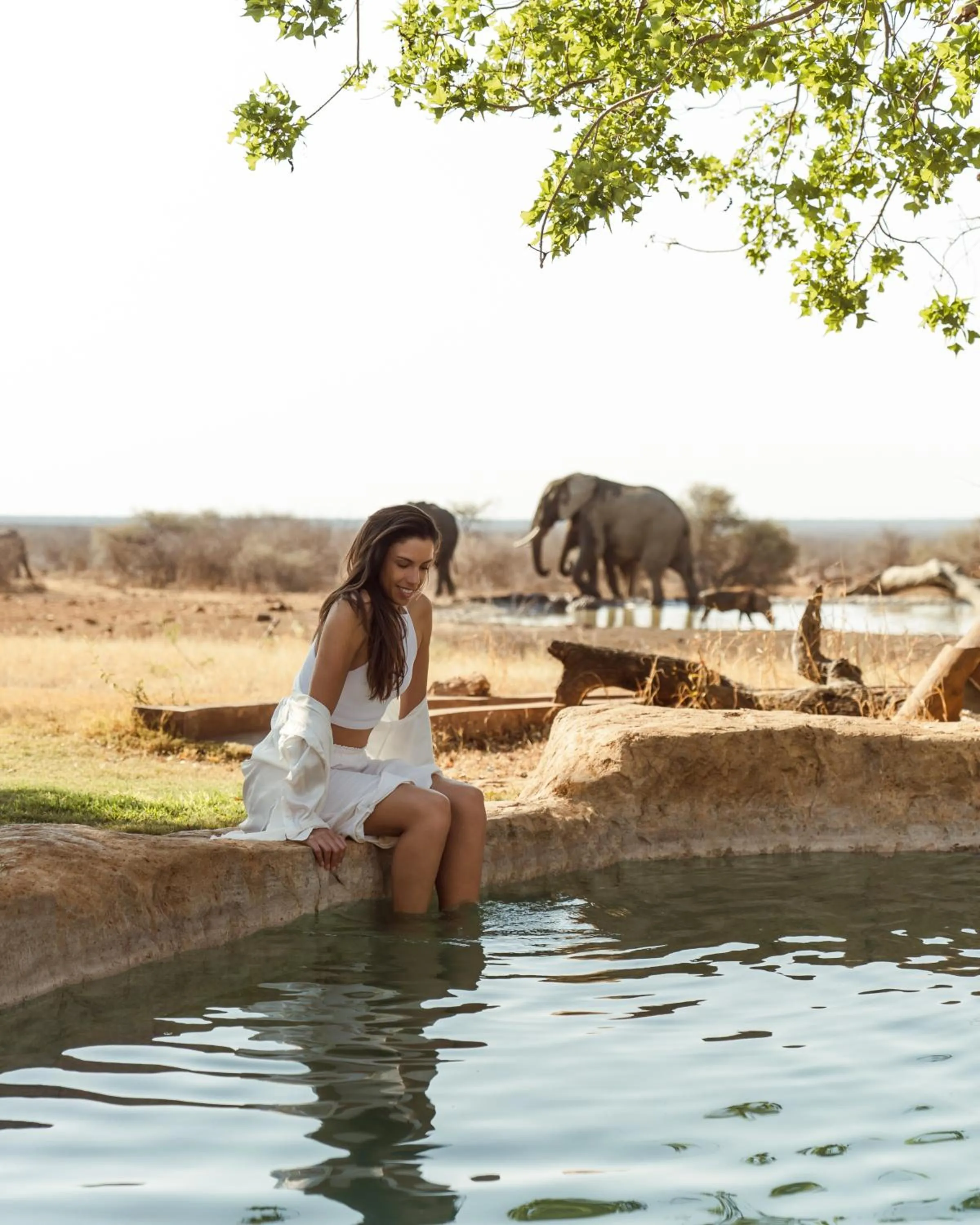 Day in Last Word Madikwe