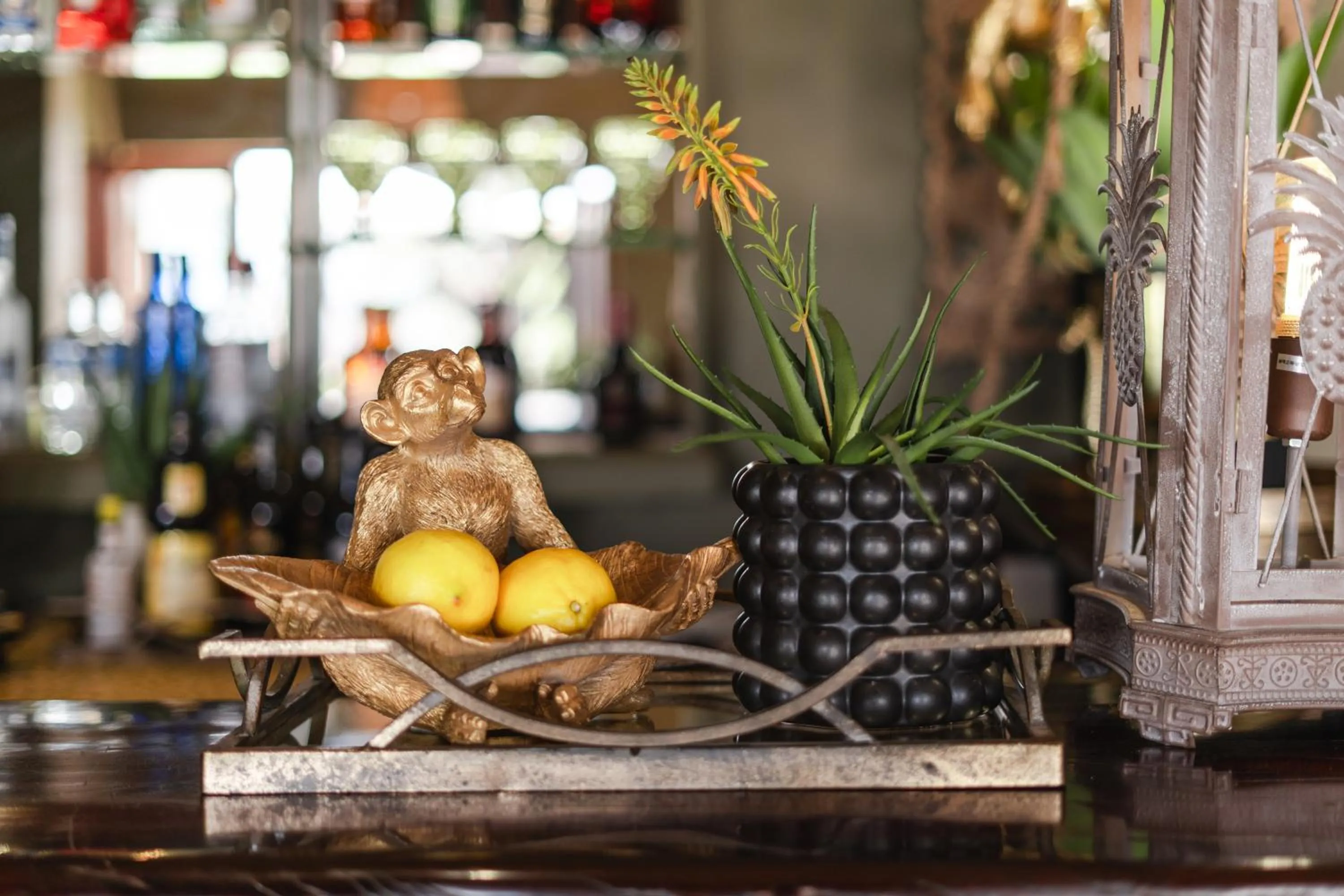 Decorative detail in Last Word Madikwe