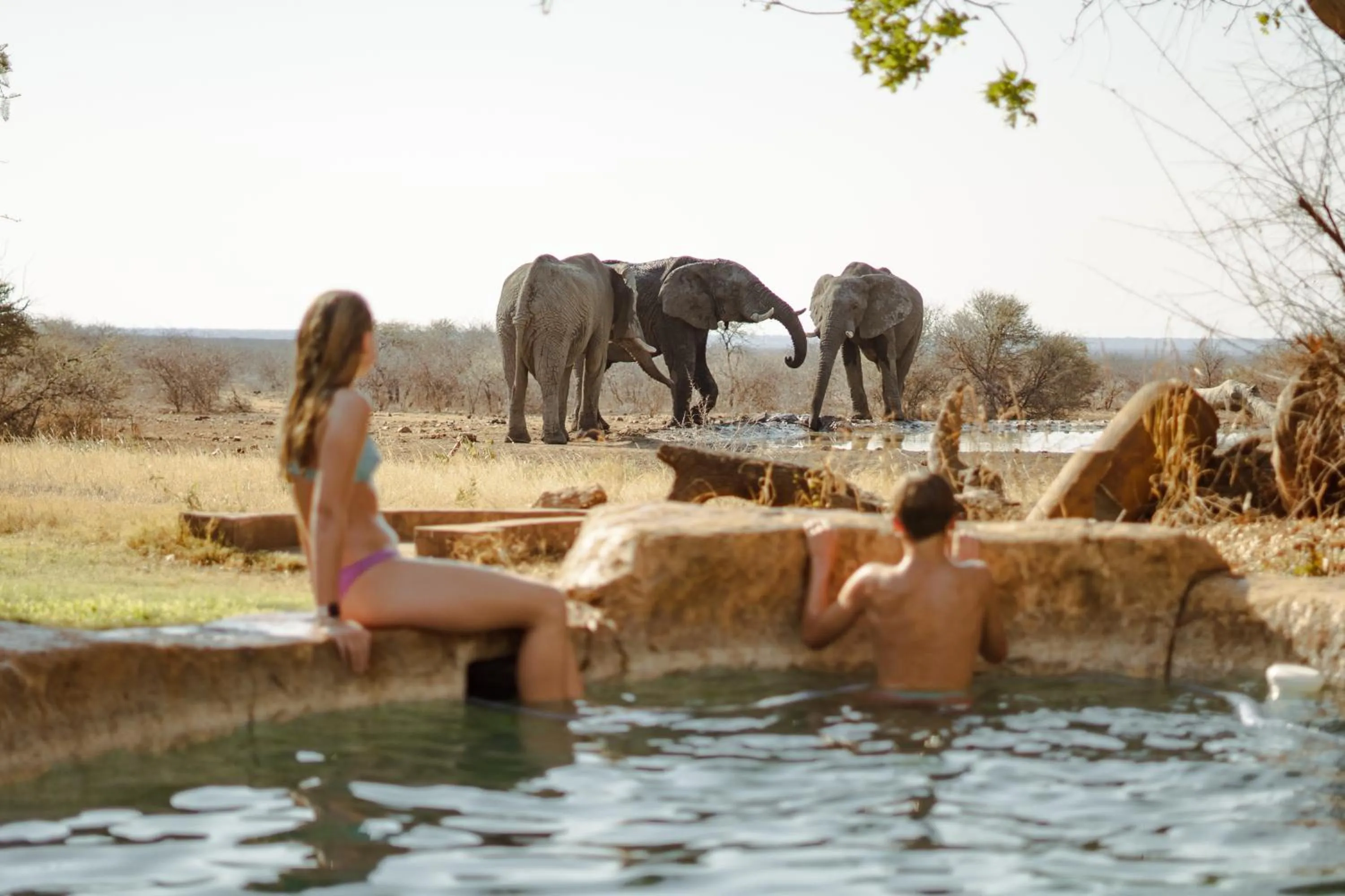 Day in Last Word Madikwe