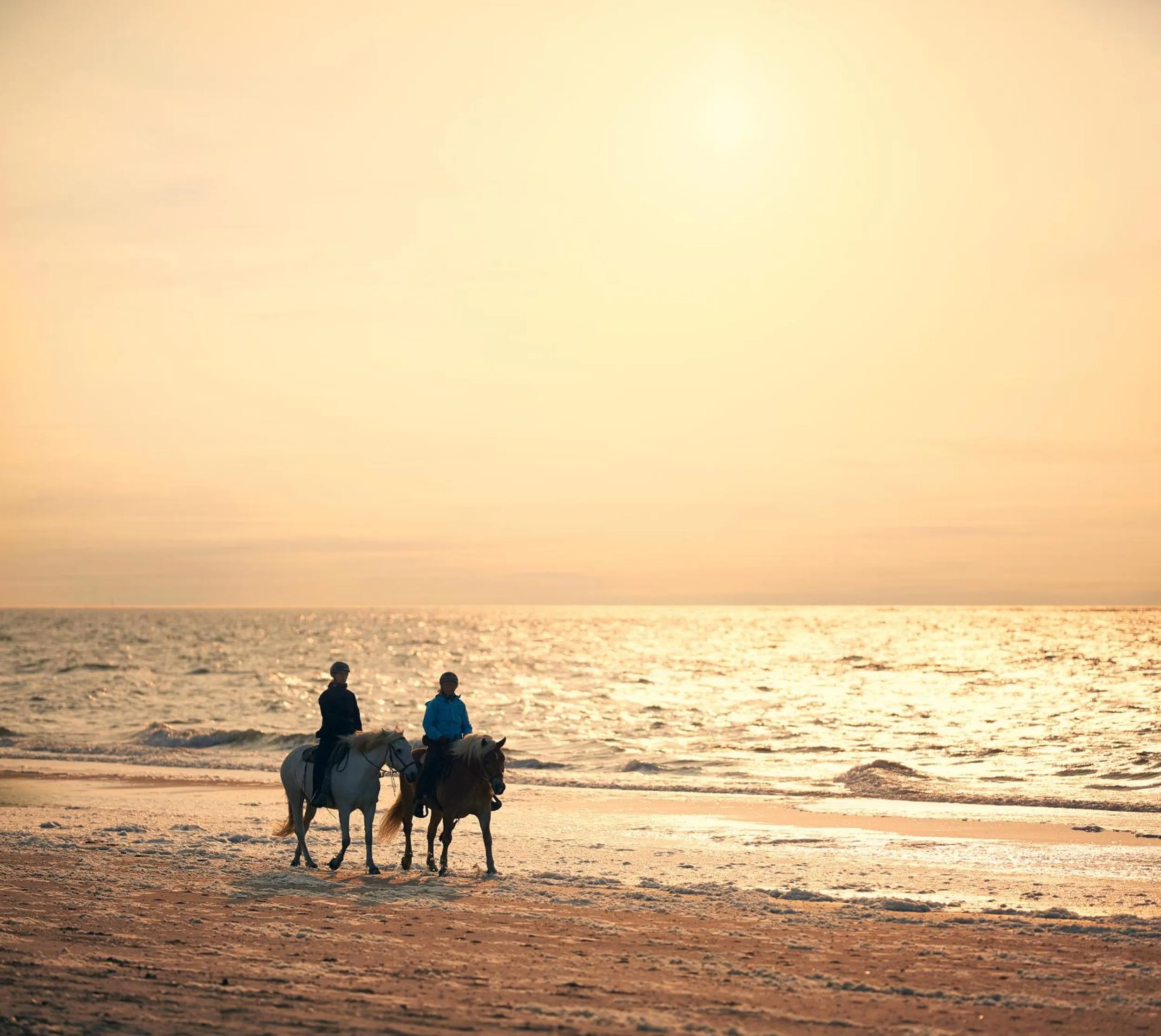 Horse-riding in Romantik Badhotel Renesse