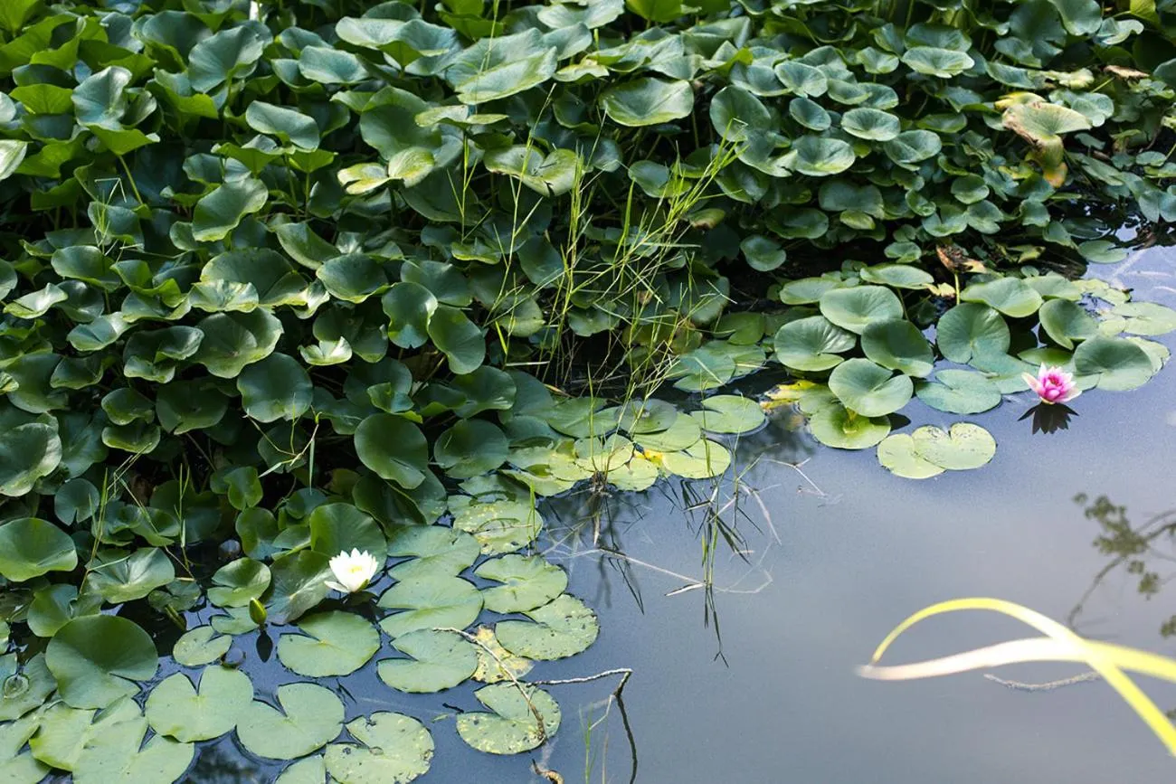 La Pampa Relais & Spa